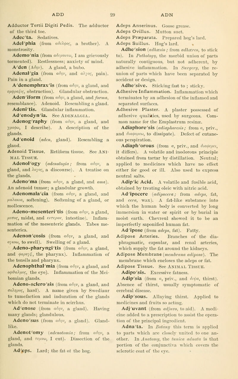 Adductor Tertii Digiti Pedis. The adductor of the third toe. Adec'ta. Sedatives. Adel/phia (from adeAcfroc, a brother). A monstrosity. Ademo'nia (from ade/ioveu, I am grievously tormented). Restlessness; anxiety of mind. A/den {Adrjv). A gland, a bubo. Adenal'gia (from adrjv, and a/.yoc, pain). Pain in a gland. A'denemphrax'is (from adr/v, a gland, and e/uppaijig, obstruction). Glandular obstruction. Aden/iform (from adqv, a gland, and/or»i«, resemblance). Adenoid. Resembling a gland. AdenPtis. Glandular inflammation. Ad'enodyn'ia. See Adenalgia. Adenography (from ad-qv, a gland, and ypa<po>, I describe). A description of the glands. Ad'enoid {aden, gland). Resembling a gland. Adenoid Tissue. Retiform tissue. See ANI- MAL Tissue. Adenol'ogy (adenologia; from adr/v, a gland, and Aoyoc, a discourse). A treatise on the glands. Adeno/ma (from a<fyv, a gland, and oma). An adenoid tumor; a glandular growth. Adenomala'cia (from acfyv, a gland, and jialaKta, softening). Softening of a gland, or mollescence. Adeno=mesenteri/tis (from adrjv, a gland, [iegoc, midst, and evrepov, intestine). Inflam- mation of the mesenteric glands. Tabes me- senterica. Adenon'cosis (from adr/v, a gland, and oynou, to swell). Swelling of a gland. Adeno=pharyngi/tis (from ach/v, a gland, and <j>apvy$, the pharynx). Inflammation of the tonsils and pharynx. Adenophtharmia (from adrjv, a gland, and o(p&a?,fiog, the eye). Inflammation of the Mei- bomian glands. Adeno=scIero/sis (from a6?/v, a gland, and Gnhjpoc, hard). A name given by Swediaur to tumefaction and induration of the glands which do not terminate in scirrhus. Ad'enose (from adrjv, a gland). Having many glands; glandulous. Adeno'sus (from adrjv, a gland). Gland- like. Adenot/omy (adenotomia; from adrjv, a gland, and re/ivu, I cut). Dissection of the glands. Adeps. Lard; the fat of the hog. Adeps Anserinus. Goose grease. Adeps Ovillus. Mutton suet. Adeps Praeparata. Prepared hog's lard. Adeps Suillus. Hog's lard. Adhe'sion (adhsesio ; from adhserco, to stick to). In Pathology, the morbid union of parts naturally contiguous, but not adherent, by adhesive inflammation. In Surgery, the re- union of parts which have been separated by accident or design. Adhesive. Sticking fast to ; sticky. Adhesive Inflammation. Inflammation which terminates by an adhesion of the inflamed and separated surfaces. Adhesive Plaster. A plaster possessed of adhesive qualities, used by surgeons. Com- mon name for the Emplastrum resinse. Adiaphore'sis [adiaphoresis; from a, priv., and Siaoopeu, to dissipate). Defect of cutane- ous perspiration. Adiaph'orous (from a, priv., and dtaoepei, it differs). A volatile and inodorous principle obtained from tartar by distillation. Neutral: applied to medicines which have no effect either for good or ill. Also used to express neutral salts. Adip'ic Acid. A volatile and fusible acid, obtained by treating oleic with nitric acid. Ad/ipocere (adipocera; from adeps, fat, and cera, wax). A fat-like substance into which the human body is converted by long immersion in water or spirit or by burial in moist earth. Chevreul showed it to be an imperfectly saponified human fat. Ad'ipose (from adeps, fat). Fatty. Adipose Arteries. Branches of the dia- phragmatic, capsular, and renal arteries, which supply the fat around the kidneys. Adipose Membrane (menibrana adiposa). The membrane which encloses the adeps or fat. Adipose Tissue. See Animal Tissue. Adipo'sis. Excessive fatness. Adip'sia (from a, priv., and dnpa, thirst). Absence of thirst, usually symptomatic of cerebral disease. Adip'sous. Allaying thirst. Applied to medicines and fruits so acting. Adj'uvant (from adjuvo, to aid). A medi- cine added to a prescription to assist the opera- tion of the principal ingredient. Adna'ta. In Botany this term is applied to parts which are closely united to one an- other. In Anatomy, the tunica adnata is that portion of the conjunctiva which covers the sclerotic coat of the eye.