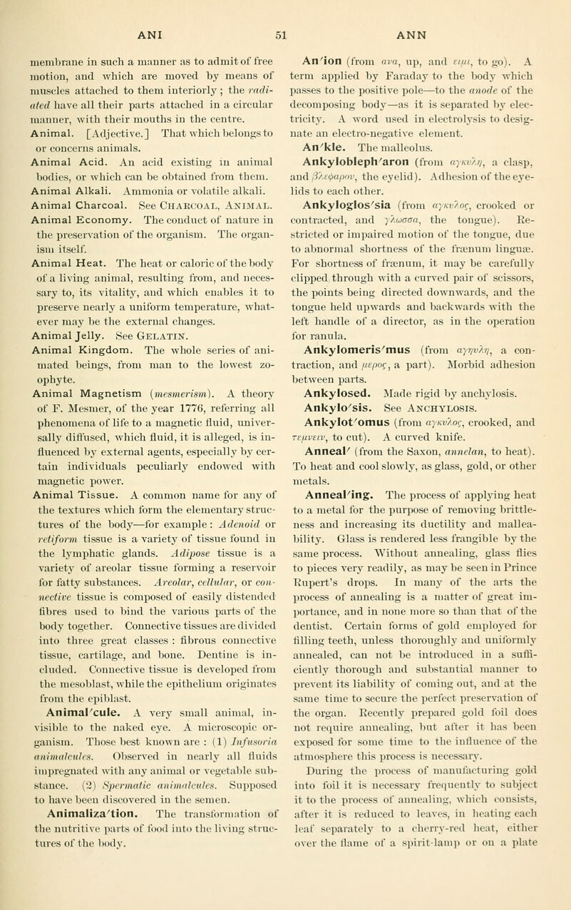 membrane in such a manner as to admit of free motion, and which are moved by means of muscles attached to them interiorly ; the radi- ated have all their parts attached in a circular manner, with their mouths in the centre. Animal. [Adjective.] That which belongs to or concerns animals. Animal Acid. An acid existing in animal bodies, or which can be obtained from them. Animal Alkali. Ammonia or volatile alkali. Animal Charcoal. See CHARCOAL, ANIMAL. Animal Economy. The conduct of nature in the preservation of the organism. The organ- ism itself. Animal Heat. The heat or caloric of the body of a living animal, resulting from, and neces- sary to, its vitality, and which enables it to preserve nearly a uniform temperature, what- ever may be the external changes. Animal Jelly. See Gelatin. Animal Kingdom. The whole series of ani- mated beings, from man to the lowest zo- ophyte. Animal Magnetism {mesmerism). A theory of F. Mesmer, of the year 1776, referring all phenomena of life to a magnetic fluid, univer- sally diffused, which fluid, it is alleged, is in- fluenced by external agents, especially by cer- tain individuals peculiarly endowed with magnetic power. Animal Tissue. A common name for any of the textures which form the elementary struc- tures of the body—for example: Adenoid or retiform tissue is a variety of tissue found in the lymphatic glands. Adipose tissue is a variety of areolar tissue forming a reservoir for fatty substances. Areolar, cellular, or con- nective tissue is composed of easily distended fibres used to bind the various parts of the body together. Connective tissues are divided into three great classes : fibrous connective tissue, cartilage, and bone. Dentine is in- cluded. Connective tissue is developed from the mesoblast, while the epithelium originates from the epiblast. Animal cule. A very small animal, in- visible to the naked eye. A microscopic or- ganism. Those best known are : (1) Infusoria animalcules. Observed in nearly all fluids impregnated with any animal or vegetable sub- stance. (2) Spermatic animalcules. Supposed to have been discovered in the semen. Animaliza'tion. The transformation of the nutritive parts of food into the living struc- tures of the body. An'ion (from ava, up, ami eifii, to go). A term applied by Faraday to the body which passes to the positive pole—to the anode of the decomposing body—as it is separated by elec- tricity. A word used in electrolysis to desig- nate an electro-negative element. An'kle. The malleolus. Ankyloblepharon (from ay/wlt), a clasp, and f3/Le<l>apov, the eyelid). Adhesion of the eye- lids to each other. AnkyIoglos/sia (from aynv/.oc, crooked or contracted, and yAuooa, the tongue). Re- stricted or impaired motion of the tongue, due to abnormal shortness of the fraenum lingua;. For shortness of franuni, it may be carefully clipped through with a curved pair of scissors, the points being directed downwards, and the tongue held upwards and backwards with the left handle of a director, as in the operation for ranula. Ankylomeris/mus (from aynvh], a con- traction, and//e/wf,a part). Morbid adhesion between parts. Ankylosed. Made rigid by anchylosis. Ankylosis. See Anchylosis. Ankylot/omus (from aynv?.oc, crooked, and teuvelv, to cut). A curved knife. Anneal (from the Saxon, annelan, to heat). To heat and cool slowly, as glass, gold, or other metals. Anneal'ing. The process of applying heat to a metal for the purpose of removing brittle- ness and increasing its ductility and mallea- bility. Glass is rendered less frangible by the same process. Without annealing, glass flies to pieces very readily, as may he seen in Prince Rupert's drops. In many of the arts the process of annealing is a matter of great im- portance, and in none more so than that of the dentist. Certain forms of gold emploj^ed for filling teeth, unless thoroughly aud uniformly annealed, can not be introduced in a suffi- ciently thorough and substantial manner to prevent its liability of coming out, and at the same time to secure the perfect preservation of the organ. Recently prepared gold foil does not require annealing, but after it has been exposed for some time to the influence of the atmosphere this process is necessary. During the process of manufacturing gold into foil it is necessary frequently to subject it to the process of annealing, which consists, after it is reduced to leaves, in heating each leaf separately to a cherry-red heat, either over the flame of a spirit-lamp or on a plate