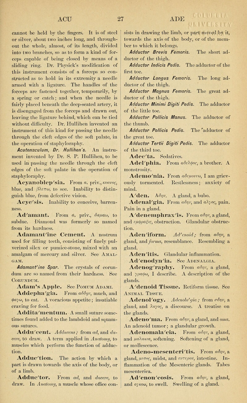 cannot be held by the fingers. It is of steel or silver, about two inches long, and through- out the whole, almost, of its length, divided into two branches, so as to form a kind of for- ceps capable of being closed by means of a sliding ring. Dr. Physick's modification of this instrument consists of a forceps so con- structed as to hold in its extremity a needle armed with a ligature. The handles of the forceps are fastened together, temporarily, by a spring or catch; and when the needle is fairly placed beneath the deep-seated artery, it is disengaged from the forceps and drawn out, leaving the ligature behind, which can be tied without difhcnlty. Dr. Hullihen invented an instrument of this kind for passing the needle through the cleft edges of the soft palate, in the operation of staphyloraphy. Acutenaculum, Dr. Hullihen's. An instru- ment invented by Dr. S. P. Hullihen, to be used in passing the needle through the cleft edges of the soft palate in the operation of staphyloraphy. Acyaiioblep^sia. From a, priv., avavoq, blue, and /JAettw, to see. Inability to distin- guish blue, from defective vision. Acye^sis. Inability to conceive, barren- ness. Ad^amailt. From a, priv., <^a/iac,i, to subdue. Diamond was formerly so named from its hardness. Adamant^ine Cement. A nostrum used for filling teeth, consisting of finely pul- verized silex or pumice-stone, mixed with an amalgam of mercury and silver. See Amal- gam. Adamanfine Spar. The crystals of corun- dum are so named from their hardness. See Corundum. Adam's Apple. See Pomum Ad ami. Addeplia^gia. From aSSrjv, much, and 6ayo>j to eat. A voracious appetite; insatiable craving for food. Addita^mentum. A small suture some- times found added to the lambdoid and squam- ous sutures. Addu^cent. Adducens ; from ad^ and dm- cere, to draw. A term applied in Anatomy, to muscles which perform the function of adduc- tion. Addlic'tioil. The action by which a part is drawn towards the axis of the body, or of a limb. AddllC^toi*. From ad, and diicere, to di'aw. In Anatomy, a muscle whose office con- sists in drawing the limb, or part} i)ac|ve!d|by it, towards the axis of the body, or of the mem- ber to which it belongs. Adductor Brevis Femoris. The short ad- ductor of the thigh. Adductor Indicis Pedis. The adductor of the first toe. Adductor Longus Femoris. The long ad- ductor of the thigh. Adductor Magnus Femoris. The great ad- ductor of the thigh. Adductor Minimi Digiti Pedis. The adductor of the little toe. Adductor Poilicis Manus. The adductor of the thumb. Adductor Poilicis Pedis. The adductor of the great toe. Adductor Tertii Digiti Pedis. The adductor of the third toe. Adec^ta. Sedatives. Adel'pllia. From arfeAi/ioc, a brother. A monstrosity. Ademo^nia. From adefxoveo), I am griev- ously tormented. Restlessness; anxiety of mind. A^deil. \Sr/v. A gland, a bubo. AdenaFg-ia. From aSr/}.', and a?.yog, pain. Pain in a gland. A^denemplirax^is. From aSTjv, a gland, and efi(j>pa^ic, obstruction. Glandular obstruc- tion. Aden^iform. Ad^enoid; from adrjv, a gland, and forma, resemblance. Kesembling a gland. Aden'itis. Glandular inflammation. Ad'enodyii^ia. See Adenalgia. Adenog''raphy. From ad?p', a gland, and ypn(l>u, I describe. A description of the glands. A^denoid Tissue. Eetiform tissue. See Animal Tissue. Adenol^Ogy. Adenolo'gia; from o6vv, a gland, and 'AoyoQ, a discourse. A treatise on the glands. Adeiio'ma. From adrjv, a gland, and mna. An adenoid tumor; a glandular growth. Adenomala^cia. From adnv, a gland, and /J.a2aiaa, softening. Softening of a gland, or mollescence. Adeno-mesenteri^tis. From ad7/v, a gland, fieang, midst, and evrepov, intestine. In- flammation of the Mesenteric glands. Tabes mesenterica. Ad'enoll^COSls. From adrjv, a gland, and oyKou, to swell. Swelling of a gland.