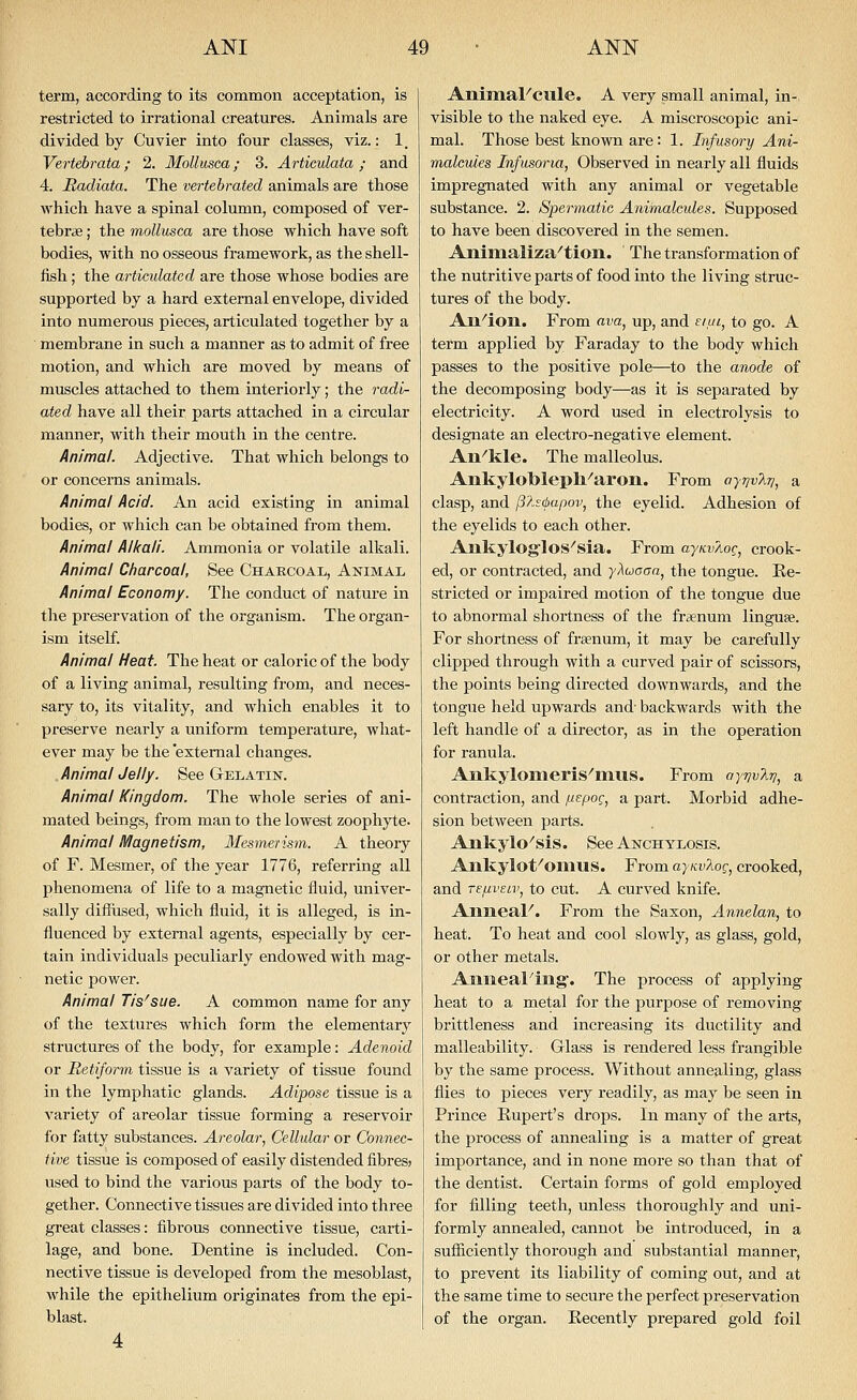 term, according to its common acceptation, is restricted to irrational creatures. Animals are divided by Cuvier into four classes, viz.: 1. Vertehrata; 2. Mollusea; 3. Articulata ; and 4. Radiata. The vertebrated animals are those which have a spinal column, composed of ver- tebrae ; the mollusea are those which have soft bodies, with no osseous framework, as the shell- fish ; the articulated are those whose bodies are supported by a hard external envelope, divided into numerous pieces, articulated together by a membrane in such a manner as to admit of free motion, and which are moved by means of muscles attached to them interiorly; the radi- ated have all their parts attached in a circular manner, with their mouth in the centre. Animal. Adjective. That which belongs to or concerns animals. Animal Acid. An acid existing in animal bodies, or which can be obtained from them. Animal Alkali. Ammonia or volatile alkali. Animal Charcoal, See Charcoal, Animal Animal Economy. The conduct of nature in the preservation of the organism. The organ- ism itself. Animal Heat. The heat or caloric of the body of a living animal, resulting from, and neces- sary to, its vitality, and which enables it to preserve nearly a uniform temperature, what- ever may be the 'external changes. Animal Jelly. See Gelatin. Animal Kingdom. The whole series of ani- mated beings, from man to the lowest zoophyte. Animal Magnetism, Mesmerism, A theory of F. Mesmer, of the year 1776, referring all phenomena of life to a magnetic fluid, univer- sally diffiised, which fluid, it is alleged, is in- fluenced by external agents, especially by cer- tain individuals peculiarly endowed with mag- netic power. Animal Tis^sue. A common name for any of the textures which form the elementary structures of the body, for example: Adenoid or Betifonn tissue is a variety of tissue found in the lymphatic glands. Adipose tissue is a variety of areolar tissue forming a reservoir for fatty substances. Areolar, Cellular or Connec- five tissue is composed of easily distended fibres? used to bind the various pai-ts of the body to- gether. Connective tissues are divided into three great classes: fibrous connective tissue, carti- lage, and bone. Dentine is included. Con- nective tissue is developed from the mesoblast, M'hile the epithelium originates from the epi- blast. 4 Animal^cule. A very small animal, in-, visible to the naked eye. A miscroscopic ani- mal. Those best known are: 1. Infusory Ani- malcules Infusoria, Observed in nearly all fluids impregnated with any animal or vegetable substance. 2. Spermatic Animalcules. Supposed to have been discovered in the semen. Animaliza^tion. The transformation of the nutritive parts of food into the living struc- tures of the body. An^ion. From ava, up, and eiui, to go. A term applied by Faraday to the body which passes to the positive pole—^to the anode of the decomposing body—as it is separated by electricity. A word used in electrolysis to designate an electro-negative element. An^kle. The malleolus. Ankylobleph^aron. From ayrivlij, a clasp, and p'lscbapov, the eyelid. Adhesion of the eyelids to each other. Ankylogios^sia. From ajKvAoc, crook- ed, or contracted, and yXuaoa, the tongue. Re- stricted or impaired motion of the tongue due to abnormal shortness of the fraenum linguae. For shortness of frsenum, it may be carefully clipped through with a curved pair of scissors, the points being directed downwards, and the tongue held upwards and- backwards with the left handle of a director, as in the operation for ranula. Ankyloiiieris^mus. From aynvlri, a contraction, and fispoQ, a part. Morbid adhe- sion between parts. Ankylo^sis. See Anchylosis. Ankylot^omus. From aymQiOQ, crooked, and TSfiveiv, to cut. A curved knife. Anneal^. From the Saxon, Annelan, to heat. To heat and cool slowly, as glass, gold, or other metals. Aillieal'ing'. The process of applying heat to a metal for the purpose of removing brittleness and increasing its ductility and malleability. Glass is rendered less frangible by the same process. Without annealing, glass flies to pieces very readily, as may be seen in Prince Rupert's drops. In many of the arts, the process of annealing is a matter of great importance, and in none more so than that of the dentist. Certain forms of gold employed for filling teeth, unless thoroughly and uni- formly annealed, cannot be introduced, in a sufiiciently thorough and substantial manner, to prevent its liability of coming out, and at the same time to secure the perfect preservation of the organ. Recently prepared gold foil