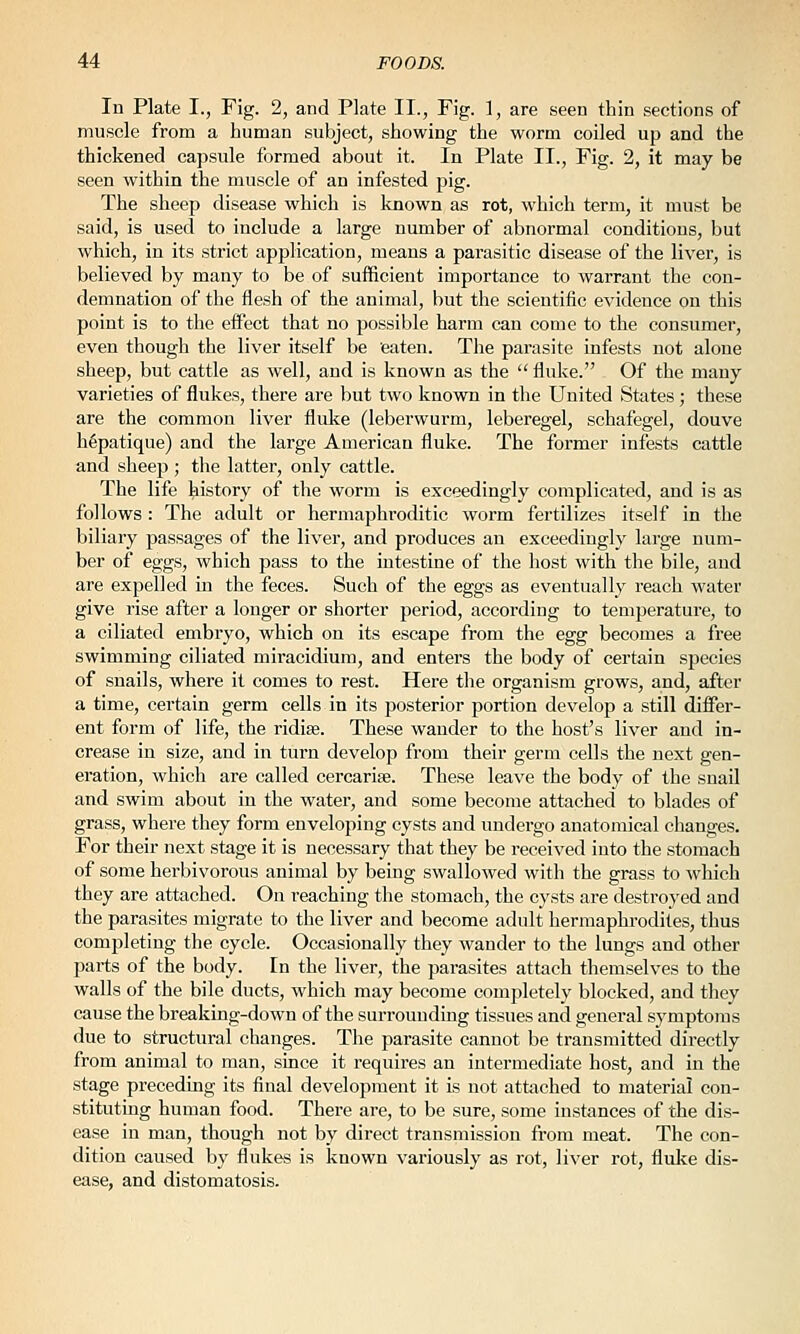 In Plate I., Fig. 2, and Plate II., Fig. ], are seen thin sections of muscle from a human subject, showing the worm coiled up and the thickened capsule formed about it. In Plate II., Fig. 2, it may be seen within the muscle of an infested pig. The sheep disease which is known as rot, which term, it must be said, is used to include a large number of abnormal conditions, but which, in its strict application, means a parasitic disease of the liver, is believed by many to be of sufficient importance to warrant the con- demnation of the flesh of the animal, but the scientific evidence on this point is to the effect that no possible harm can come to the consumer, even though the liver itself be eaten. The parasite infests not alone sheep, but cattle as well, and is known as the  fluke. Of the many varieties of flukes, there are but two known in the United States ; these are the common liver fluke (leberwurm, leberegel, schafegel, douve hSpatique) and the large American fluke. The former infests cattle and sheep ; tlie latter, only cattle. The life history of the worm is exceedingly complicated, and is as follows : The adult or hermaphroditic worm fertilizes itself in the biliary passages of the liver, and produces an exceedingly large num- ber of eggs, which pass to the intestine of the host with the bile, and are expelled in the feces. Such of the eggs as eventually reach water give rise after a longer or shorter period, accordiug to temperature, to a ciliated embryo, which on its escape from the egg becomes a free swimming ciliated miracidium, and enters the body of certain species of snails, where it comes to rest. Here the organism grows, and, after a time, certain germ cells in its posterior portion develop a still differ- ent form of life, the ridias. These wander to the host's liver and in- crease in size, and in turn develop from their germ cells the next gen- eration, which are called cercarise. These leave the body of the snail and swim about in the water, and some become attached to blades of grass, where they form enveloping cysts and undergo anatomical changes. For their next stage it is necessary that they be received into the stomach of some herbivorous animal by being swallowed with the grass to which they are attached. On reaching the stomach, the cysts are destroyed and the parasites migrate to the liver and become adult hermaphrodites, thus completing the cycle. Occasionally they wander to the lungs and other parts of the body. In the liver, the parasites attach themselves to the walls of the bile ducts, which may become completely blocked, and they cause the breaking-down of the surrounding tissues and general symptoms due to structural changes. The parasite cannot be transmitted directly from animal to man, since it requires an intermediate host, and in the stage preceding its final development it is not attached to material con- stituting human food. There are, to be sure, some instances of the dis- ease in man, though not by direct transmission from meat. The con- dition caused by flukes is known variously as rot, liver rot, flulce dis- ease, and distomatosis.