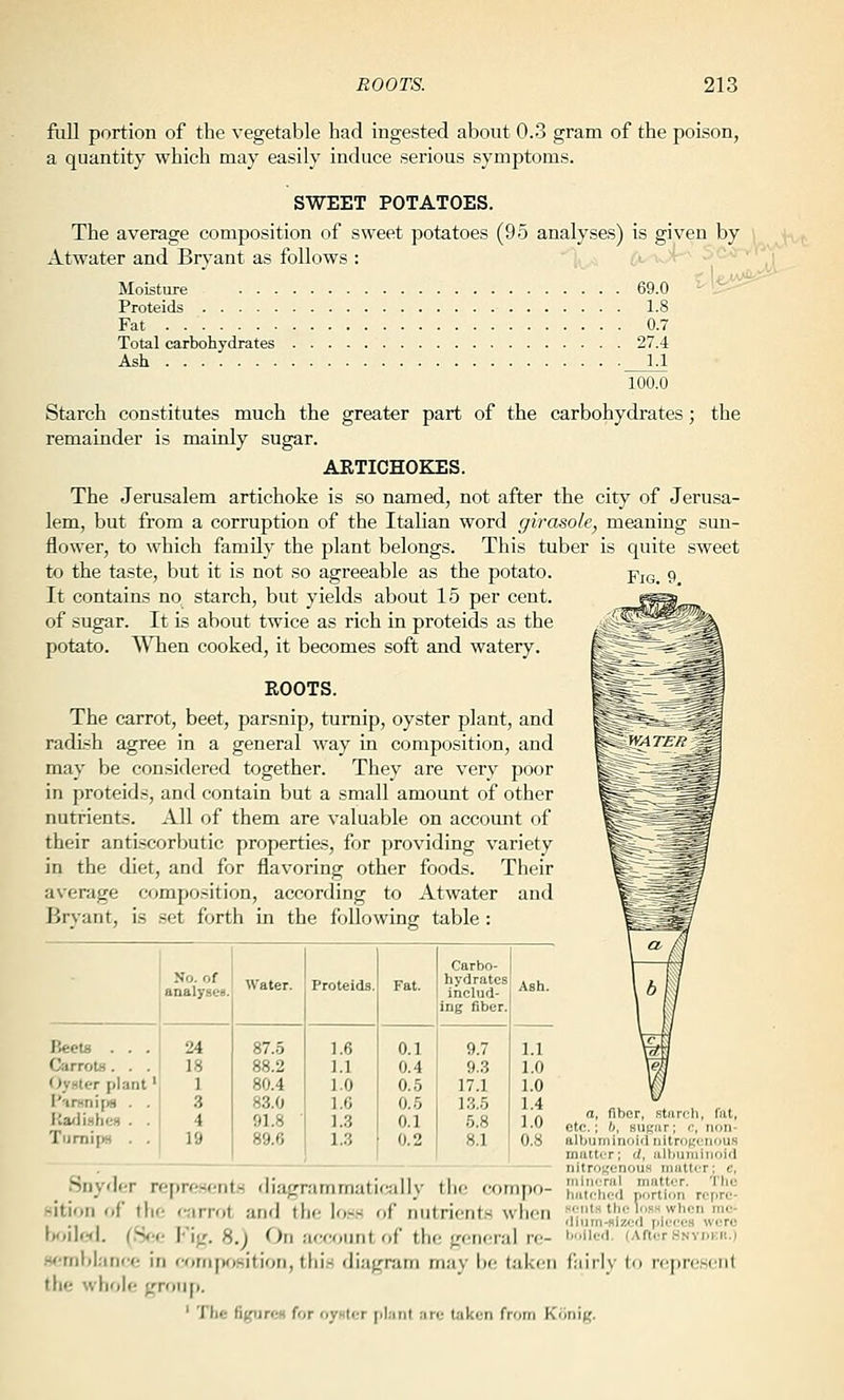 full portion of the vegetable had ingested about 0.3 gram of the poison, a quantity which may easily induce serious symptoms. SWEET POTATOES. The average composition of sweet potatoes (95 analyses) is given by Atwater and BrN^ant as follows : ;'t- ^ '^ -•' '■'' Moisture 69.0 Proteids 1.8 Fat 0.7 Total carbohydrates 27.4 Ash y 100.0 Starch constitutes much the greater part of the carbohydrates; the remainder is mainly sugar. ARTICHOKES. The Jerusalem artichoke is so named, not after the city of Jerusa- lem, but from a corruption of the Italian word girasole, meaning sim- flower, to which family the plant belongs. This tuber is quite sweet to the taste, but it is not so agreeable as the potato. pjQ_ 9 It contains no starch, but yields about 15 per cent, of sugar. It is about twice as rich in proteids as the potato. When cooked, it becomes soft and watery. ROOTS. The carrot, beet, parsnip, turnip, oyster plant, and radish agree in a general way in composition, and ^SiBMtx'^; may be considered together. They are very poor in proteids, and contain but a small amount of other nutrients. All of them are valuable on account of their antiscorljutic properties, for providing variety in the diet, and for flavoring other foods. Their average compo.sition, according to Atwater and Bryant, is set forth in the following table : Carbo- No. of analyses. Water. ProteidB. Fat. hydrates includ- ing fiber. Ash. P.eeU . . . 24 87.0 1.6 0.1 9.7 1.1 CarroLf . . . 18 88.2 1.1 0.4 9.3 1.0 Ovster plant' 1 80.4 1.0 0.5 17.1 1.0 l'irHni[)« . . .3 83.0 1.6 0.5 13.5 1.4 I;a<ii»litfi . . 4 91.8 • 1.3 0.1 5.8 1.0 Turnips . . 19 89.6 1.3 0.2 8.1 0.8 a, fiber, starch, fat, etc.; b, sugar; c, non- albuminoid nitro(,'cnou8 mftttt;r; d, albuniinoifl nitrot^enous matter; e, Snyder represents diagrammatically the compo- ^i^^^ ^,^1^,^- ,^^^ .sition of the; carrot and the lo.ss of nutrients when e'lt^ the loss when mc- , .. . filum-ftlzca pieces were ooilrKl. (.Sf;f I'lfT. 8.) On account of the general re- ''Hfi (After knvdkh.) w-mblarice in corriprwition, this di.-ignirii niav he l;il<i'n (iiirlv In rcpn'scut the whole group. ' The figures for 'iy»ti:r pl.nit are taken from Kiini^.