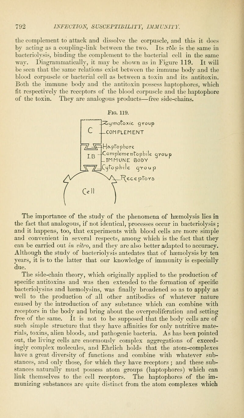 the complement to attack aud dissolve the corpuscle, and this it does by acting as a coupling-link between the two. Its r6le is the same in bacteriolysis, binding the complement to the bacterial cell in the same way. Diagrammatically, it may be shown as in Figure 119. It will be seen that the same relations exist between the immune body and the blood corpuscle or bacterial cell as between a toxin and its antitoxin. Both the immune body and the antitoxin possess haptophorcs, which fit respectively the receptors of the blood corpuscle and the haptophore of the toxin. They are analogous products—free side-chains. c Fig. 119. ^ywoto;(ic group -COMPLEMENT H»-ptopbore -Corr)plemcT7topbile qroup LIMMUNE BODY _V~^_ -Cy^o p b i I e c/Youp J^eceproYs The importance of the study of the phenomena of haemolysis lies in the fact that analogous, if not identical, processes occur in bacteriolysis ; and it happens, too, that experiments with blood cells are more simple and convenient in several respects, among which is the fact that they can be carried out in vitro, and they are also better adapted to accuracy. Although the study of bacteriolysis antedates that of haemolysis by ten years, it is to the latter that our knowledge of immunity is especially due. The side-chain theory, which originally applied to the production of specific antitoxins and was then extended to the formation of specific bacteriolysins and haemolysins, was finally broadened so as to apply as well to the production of all other antibodies of whatever nature caused by the introduction of any substance which can combine with receptors in the body and bring about the overproliferation and setting free of the same. It is not to be supposed that the body cells are of such simple structure that they have affinities for only nutritive mate- rials, toxins, alien bloods, and pathogenic bacteria. As has been pointed out, the living cells are enormously complex aggregations of exceed- ingly complex molecules, and Ehrlich holds that the atom-complexes have a great diversity of functions and combine with whatever sub- stances, and only those, for which they have receptors ; and these sub- stances naturally must possess atom groups (haptophores) which can link themselves to the cell receptors. The haptophores of the im- munizing substances are quite distinct from the atom complexes which