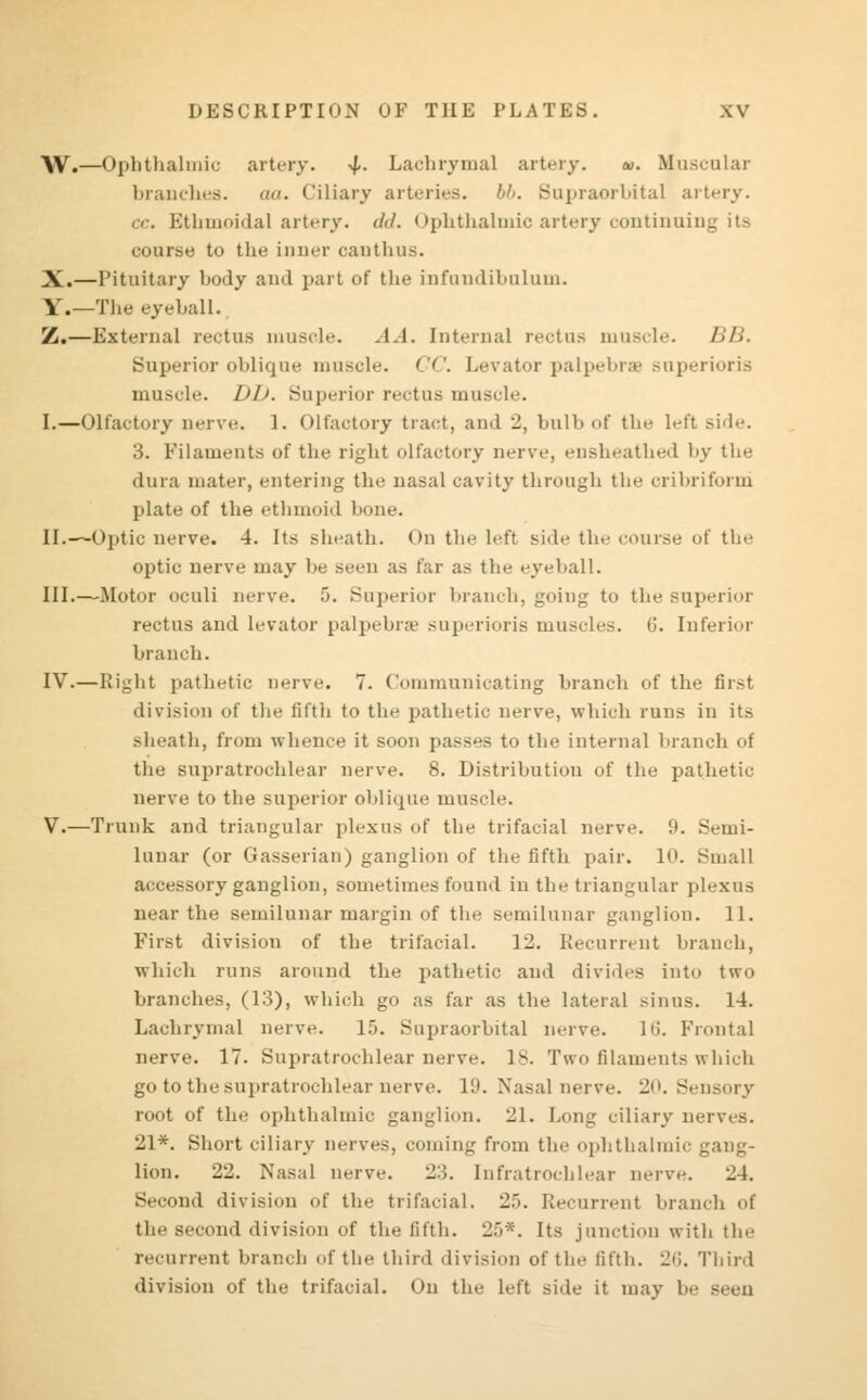 W.—Ophthalmic artery. ^. Lachrymal artery. M. Muscular branches, aa. Ciliary arteries. 66. Supraorbital artery, ce. Ethmoidal artery, dd. Ophthalmic artery continuing course to the inner canthus. X.—Pituitary body and part of the infundibulum. Y.—The eyeball. Z.—External rectus muscle. .1.1. Internal rectus muscle. BB. Superior oblique muscle. CC. Levator palpebral superioris musole. DD. Superior rectus muscle. I.—Olfactory nerve. 1. Olfactory tract, and 2, bulb of the left side. 3. Filaments of the right olfactory nerve, en sheathed by the dura mater, entering the nasal cavity through the cribriform plate of the ethmoid bone. II.—Optic nerve. 4. Its sheath. On the left side the course of the optic nerve may 1m- seen as tar as the eyeball. III.—Motor oculi nerve. ). Superior branch, going to the superior rectus and levator palpebrae superioris muscles. 6. Inferior branch. IV.—Right pathetic nerve. 7. Communicating branch of the first division of the tilth to the pathetic nerve, which runs in its .-heath, from whence it soon passes to the internal branch oi the supratrochlear nerve. 8. Distribution of the pathetic nerve to the superior oblique muscle. V.—Trunk and triangular plexus of the trifacial nerve. 9. Semi- lunar (or Sasserian) ganglion of the fifth pair. 10. Small accessory ganglion, sometimes found in the triangular plexus near the semilunar margin of the semilunar ganglion. 11. First division of the trifacial. 12. Recurrent branch, which runs around the pathetic and divides into two branches, (13), which go as far as the lateral sinus. 14. Lachrymal nerve. 15. Supraorbital nerve. 1(>. Frontal nerve. 17. Supratrochlear nerve. 1 8. Two filaments which go to the supratrochlear nerve, lit. Nasal nerve. 20. Sensory root of the ophthalmic ganglion. 21. Long ciliary nerves. 21*. Short ciliary nerves, coming from the ophthalmic gang- lion. 22. Nasal nerve. 23. Infratrochlear nerve. 24. Second division of the trifacial. 25. Recurrent branch of the second division of the fifth. 25*. Its junction with the recurrent branch of the third division of the fifth. 26. Third division of the trifacial. On the left side it may be seen