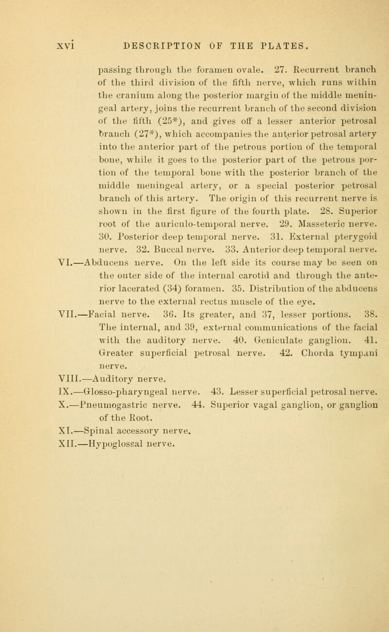 passing through the foramen ovale. 27. Recurrent branch of the third division of the fifth nerve, which runs within the cranium along the posterior margin of the middle menin- geal artery, joins the recurrent branch of the second division of the fifth (25*), and gives off a lesser anterior petrosal branch (27*), which accompanies the anterior petrosal artery into the anterior part of the petrous portion of the temporal bone, while it goes to the posterior part of the petrous por- tion of the temporal bone with the posterior branch of the middle meningeal artery, or a special posterior petrosal branch of this artery. The origin of this recurrent nerve is shown in the first figure of the fourth plate. 28. Superior root of the auriculo-temporal nerve. 29. Masseteric nerve. 30. Posterior deep temporal nerve. 31. External pterygoid nerve. 32. Buccal nerve. 33. Anterior deep temporal nerve. VI.—Abducens nerve. On the left side its course may be seen on the outer side of the internal carotid and through the ante- rior lacerated (34) foramen. 35. Distribution of the abducens nerve to the external rectus muscle of the eye. VII.—Facial nerve. 36. Its greater, and 37, lesser portions. 38. The internal, and 39, external communications of the facial with the auditory nerve. 40. Geniculate ganglion. 41. Greater superficial petrosal nerve. 42. Chorda tympaui nerve. VIII.—Auditory nerve. IX.—Grlosso-pharyngeal nerve. 43. Lesser superficial petrosal nerve. X.—Pneumogastric nerve. 44. Superior vagal ganglion, or ganglion of the Root. XI.—Spinal accessory nerve. XII.—Hypoglossal nerve.