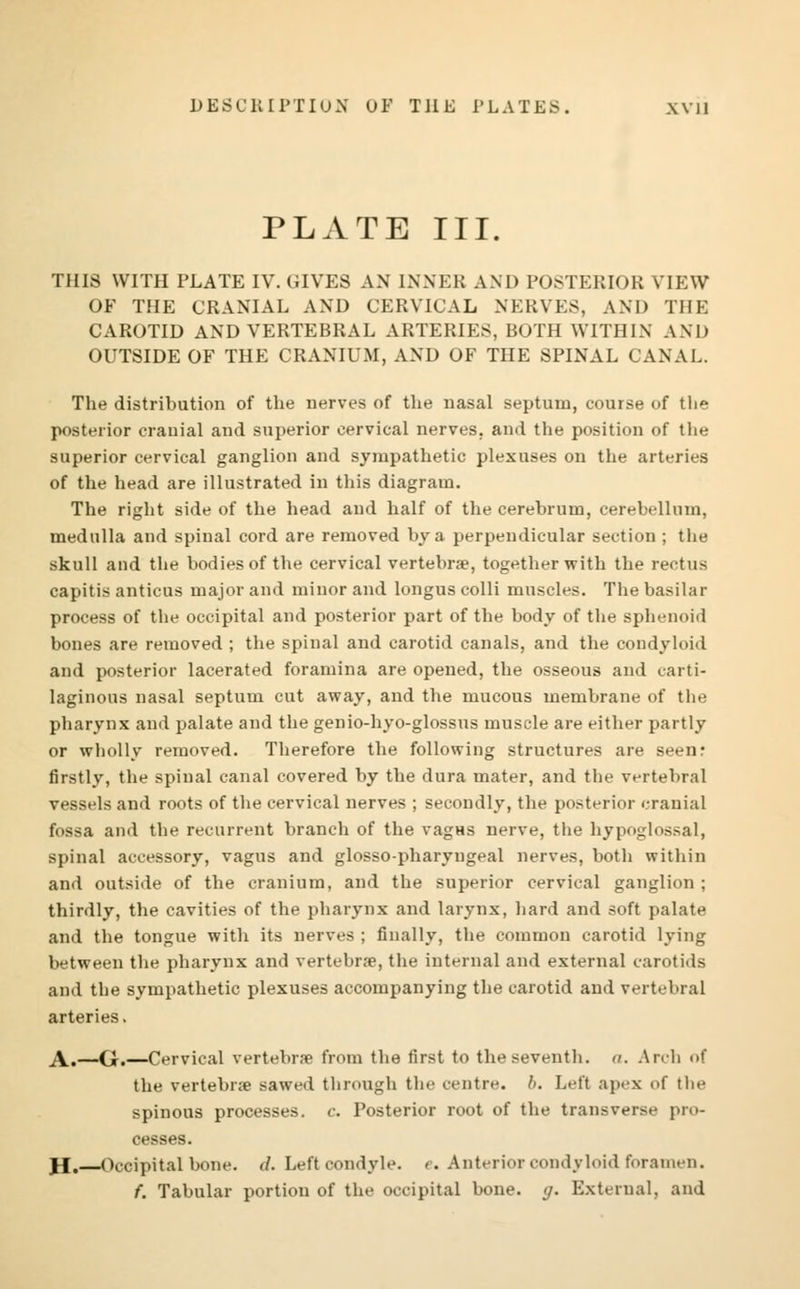 PLATE III. THIS WITH PLATE IV. GIVES AN INNER AND POSTERIOR VIEW OF THE CRANIAL AND CERVICAL NERVES, AND THE CAROTID AND VERTEBRAL ARTERIES, BOTH WITHIN AND OUTSIDE OF THE CRANIUM, AND OF THE SPINAL CANAL. The distribution of the nerves of the nasal septum, course of the posterior crauial and superior cervical nerves, and the position of the superior cervical ganglion and sympathetic plexuses on the arteries of the head are illustrated in this diagram. The right side of the head and half of the cerebrum, cerebellum, medulla and spinal cord are removed by a perpendicular section ; the skull and the bodies of the cervical vertebrae, together with the rectus capitis anticus major and minor and longus colli muscles. The basilar process of the occipital and posterior part of the body of the sphenoid bones are removed ; the spinal and carotid canals, and the condyloid and posterior lacerated foramina are opened, the osseous and carti- laginous nasal septum cut away, and the mucous membrane of the pharynx and palate and the genio-hyo-glossus muscle are either partly or wholly removed. Therefore the following structures are seen: firstly, the spinal canal covered by the dura mater, and the vertebral vessels and roots of the cervical nerves ; secondly, the posterior cranial fossa and the recurrent branch of the vagHS nerve, the hypoglossal, spinal accessory, vagus and glosso-pharyugeal nerves, both within and outside of the cranium, and the superior cervical ganglion ; thirdly, the cavities of the pharynx and larynx, hard and soft palate and the tongue with its nerves ; finally, the common carotid lying between the pharynx and vertebra?, the internal and external carotids and the sympathetic plexuses accompanying the carotid and vertebral arteries. A.—Gr.—Cervical vertebra? from the first to the seventh, n. Arch of the vertebra? sawed through the centre, h. Left apex of the spinous processes, c. Posterior root of the transverse pro- cesses. Jf. Occipital bone. d. Left condyle, c. Anterior condyloid foramen. f. Tabular portion of the occipital bone. g. External, and