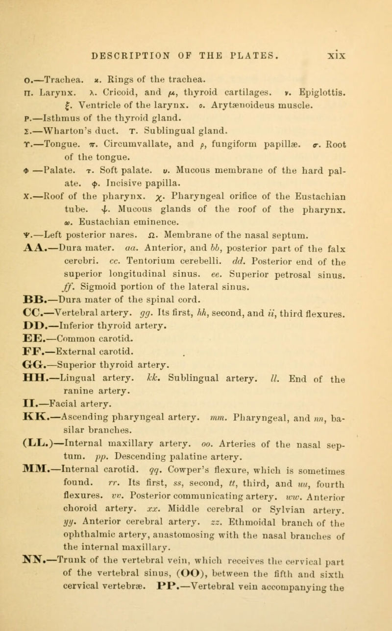 O.—Trachea, *. Rings of the trachea. n. Larynx. x. Cricoid, and (x, thyroid cartilages. ». Epiglottis. £. Ventricle of the larynx, o. Arytsenoideus muscle. p.—Isthmus of the thyroid gland. Z.—Wharton's duct. T. Sublingual gland. r.—Tongue, m. Circumvallate, and p, fungiform papillae, a-. Root of the tongue. * —Palate, t. Soft palate, v. Mucous membrane of the hard pal- ate. <f>. Incisive papilla. X.—Roof of the pharynx, x- Pharyngeal orifice of the Eustachian tube. -^. Mucous glands of the roof of the pharynx. a). Eustachian eminence. y.—Left posterior nares. n. Membrane of the nasal septum. AA.—Dura mater, an. Anterior, and bb, posterior part of the falx cerebri, cc. Tentorium cerebelli. dd. Posterior end of the superior longitudinal sinus, ee. Superior petrosal sinus. ff. Sigmoid portion of the lateral sinus. BB.—Dura mater of the spinal cord. CC.—Vertebral artery, gg. Its first, hh, second, and ii, third flexures. DD.—Inferior thyroid artery. EE.—Common carotid. FF.—External carotid. GG.—Superior thyroid artery. HH.—Lingual artery, kk. Sublingual artery. //. End of the ranine artery. II.—Facial artery. KK.—Ascending pharyngeal artery, mm. Pharyngeal, and nn, ba- silar branches. (IiL.)—Internal maxillary artery, oo. Arteries of the nasal sep- tum, pp. Descending palatine artery. MM.—Internal carotid, qq. Cowper's flexure, which is sometimes found. rr. Its first, ss, second, tt, third, and uu, fourth flexures, vv. Posterior communicating artery, uno. Anterior choroid artery, xx. Middle cerebral or Sylvian artery. yy. Anterior cerebral artery, zz. Ethmoidal branch of the ophthalmic artery, anastomosing with the nasal branches of the internal maxillary. NN.—Trunk of the vertebral vein, which receives the cervical part of the vertebral sinus, (OO), between the fifth and sixth cervical vertebra. PP.—Vertebral vein accompanying the