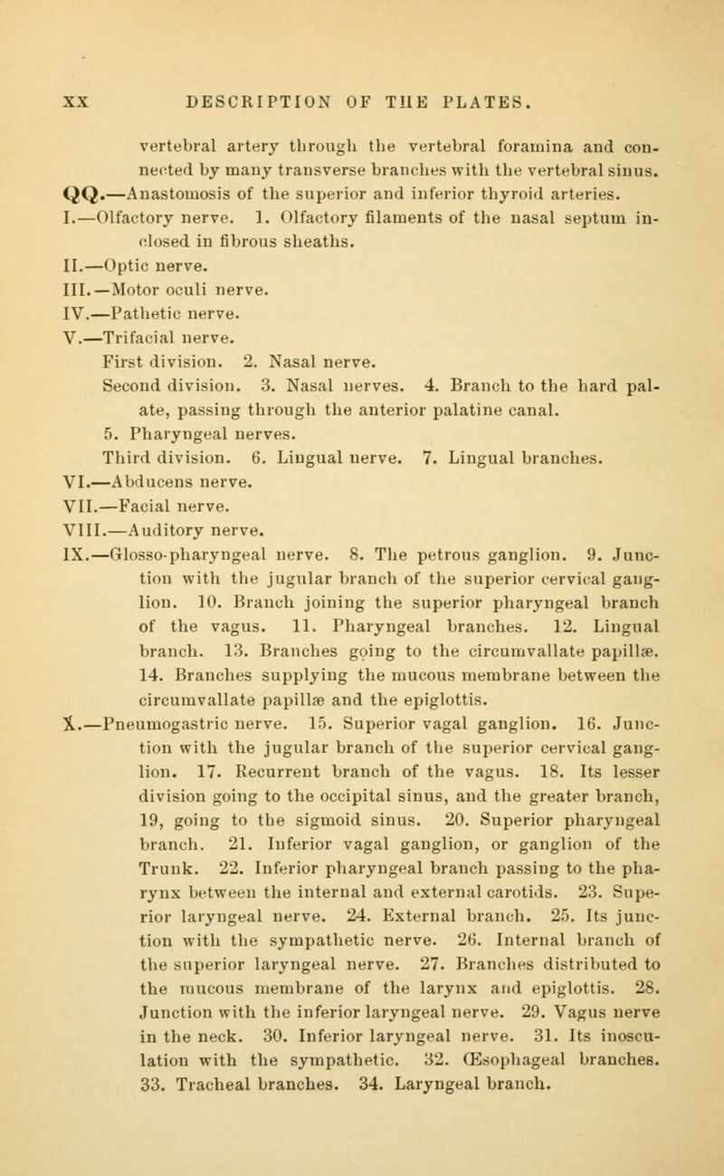 vertebral artery through the vertebral foramina and con- nected by many transverse branches with the vertebral sinus. QQ.—Anastomosis of the superior and inferior thyroid arteries. I.—Olfactory nerve. 1. Olfactory filaments of the nasal septum in- closed in fibrous sheaths. II.—Optic nerve. III.—Motor oculi nerve. IV.—Pathetic nerve. V.—Trifacial nerve. First division. 2. Nasal nerve. Second division. 3. Nasal nerves. 4. Branch to the hard pal- ate, passing through the anterior palatine canal. 5. Pharyngeal nerves. Third division. 6. Lingual nerve. 7. Lingual branches. VI.—Abducens nerve. VII.—Facial nerve. VIII.—Auditory nerve. IX.—Glosso-pharyngeal nerve. 8. The petrous ganglion. 9. Junc- tion with the jugular branch of the superior cervical gang- lion. 10. Branch joining the superior pharyngeal branch of the vagus. 11. Pharyngeal branches. 12. Lingual branch. 13. Branches going to the circumvallate papillae. 14. Branches supplying the mucous membrane between the circumvallate papillae and the epiglottis. 3L—Pneumogastric nerve. 15. Superior vagal ganglion. 16. Junc- tion with the jugular branch of the superior cervical gang- lion. 17. Recurrent branch of the vagus. 18. Its lesser division going to the occipital sinus, and the greater branch, 19, going to the sigmoid sinus. 20. Superior pharyngeal branch. 21. Inferior vagal ganglion, or ganglion of the Trunk. 22. Inferior pharyngeal branch passing to the pha- rynx between the internal and external carotids. 23. Supe- rior laryngeal nerve. 24. External branch. 25. Its junc- tion with the sympathetic nerve. 26. Internal branch of the superior laryngeal nerve. 27. Branches distributed to the raucous membrane of the larynx and epiglottis. 28. Junction with the inferior laryngeal nerve. 29. Vagus nerve in the neck. 30. Inferior laryngeal nerve. 31. Its inoscu- lation with the sympathetic. 32. Oesophageal branches. 33. Tracheal branches. 34. Laryngeal branch.