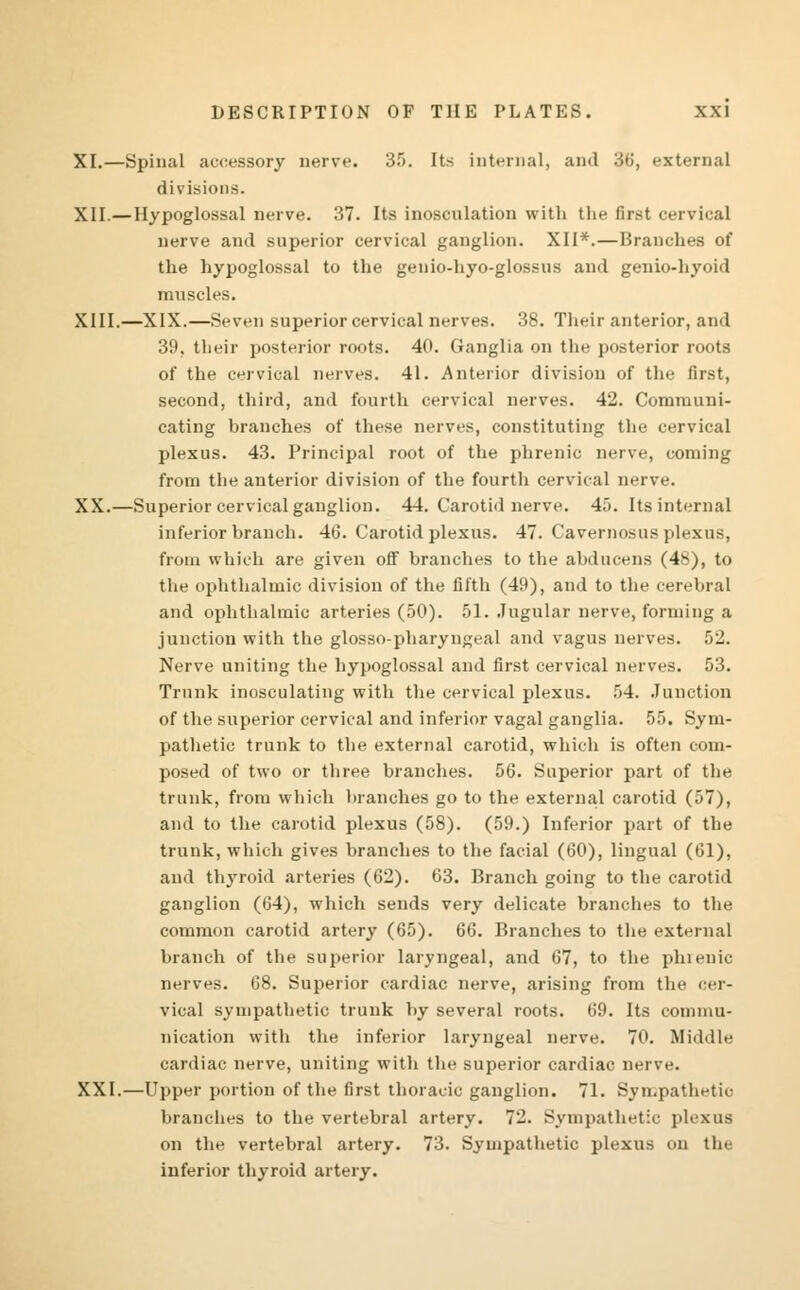 XI.—Spinal accessory nerve. 35. Its internal, and 36, external divisions. XII.—Hypoglossal nerve. 37. Its inosculation with the first cervical nerve and superior cervical ganglion. XII*.—Branches of the hypoglossal to the genio-hyo-glossus and genio-hyoid muscles. XIII.—XIX.—Seven superior cervical nerves. 38. Their anterior, and 39, their posterior roots. 40. Ganglia on the posterior roots of the cervical nerves. 41. Anterior division of the first, second, third, and fourth cervical nerves. 42. Communi- cating branches of these nerves, constituting the cervical plexus. 43. Principal root of the phrenic nerve, coming from the anterior division of the fourth cervical nerve. XX.—Superior cervical ganglion. 44. Carotid nerve. 45. Its internal inferior branch. 46. Carotid plexus. 47. Cavemosus plexus, from which are given off branches to the abdncens (48), to the ophthalmic division of the fifth (49), and to the cerebral and ophthalmic arteries (50). 51. Jugular nerve, forming a junction with the glossopharyngeal and vagus nerves. 52. Nerve uniting the hypoglossal and first cervical nerves. 53. Trunk inosculating with the cervical plexus. 54. Junction of the superior cervical and inferior vagal ganglia. 55. Sym- pathetic trunk to the external carotid, which is often com- posed of two or three branches. 56. Superior part of the trunk, from which branches go to the external carotid (57), and to the carotid plexus (58). (59.) Inferior part of the trunk, which gives branches to the facial (60), lingual (61), and thyroid arteries (62). 63. Branch going to the carotid ganglion (64), which sends very delicate branches to the common carotid artery (65). 66. Branches to the external branch of the superior laryngeal, and 67, to the phrenic nerves. 68. Superior cardiac nerve, arising from the cer- vical sympathetic trunk by several roots. 69. Its commu- nication with the inferior laryngeal nerve. 70. Middle cardiac nerve, uniting with the superior cardiac nerve. XXI.—Upper portion of the first thoracic ganglion. 71. Sympathetic- branches to the vertebral artery. 72. Sympathetic plexus on the vertebral artery. 73. Sympathetic plexus on the inferior thyroid artery.