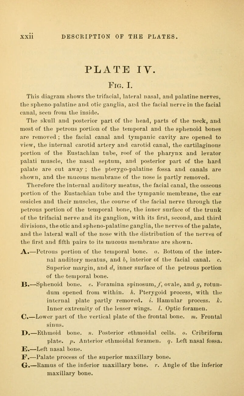 PLATE IY. Fig. I. This diagram shows the trifacial, lateral nasal, and palatine nerves, the spheno-palatine and otic ganglia, and the facial nerve in the facial canal, seen from the inside. The skull and posterior part of the head, parts of the neck, and most of the petrous portion of the temporal and the sphenoid bones are removed ; the facial canal and tympanic cavity are opened to view, the internal carotid artery and carotid canal, the cartilaginous portion of the Eustachian tube, roof of the pharynx and levator palati muscle, the nasal septum, and posterior part of the hard palate are cut away ; the pterygo-palatine fossa and canals are shown, and the mucous membrane of the nose is partly removed. Therefore the internal auditory meatus, the facial canal, the osseous portion of the Eustachian tube and the tympanic membrane, the ear ossicles and their muscles, the course of the facial nerve through the petrous portion of the temporal bone, the inner surface of the trunk of the trifacial nerve and its ganglion, with its first, second, and third divisions, the otic and spheno-palatine ganglia, the nerves of the palate, and the lateral wall of the nose with the distribution of the nerves of the first and fifth pairs to its mucous membrane are shown. A.—Petrous portion of the temporal bone. a. Bottom of the inter- nal auditory meatus, and b, interior of the facial canal, c. Superior margin, and d, inner surface of the petrous portion of the temporal bone. B.—Sphenoid bone. e. Foramina spinosum,y, ovale, and g, rotun- dum opened from within, h. Pterygoid process, with the internal plate partly removed, i. Hamular process, k. Inner extremity of the lesser wings. /. Optic foramen. C.—Lower part of the vertical plate of the frontal bone. m. Frontal sinus. D.—Ethmoid bone. n. Posterior ethmoidal cells, o. Cribriform plate, p. Anterior ethmoidal foramen, q. Left nasal fossa. E.—Left nasal bone. F.—Palate process of the superior maxillary bone. Gr.—Ramus of the inferior maxillary bone. r. Angle of the inferior maxillary bone.