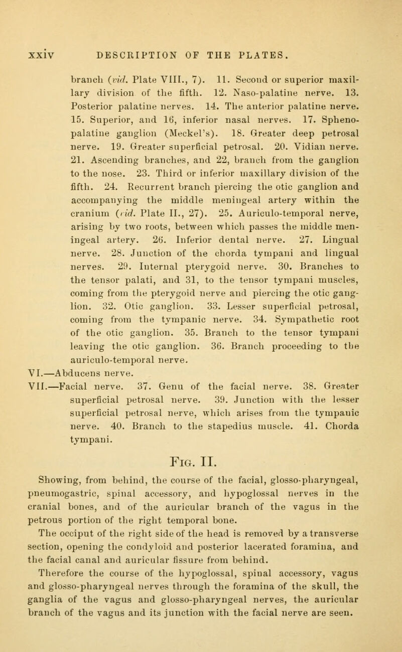 branch (vid. Plate VIII., 7). 11. Second or superior maxil- lary division of the fifth. 12. Naso-palatine nerve. 13. Posterior palatine nerves. 14. The anterior palatine nerve. 15. Superior, and 16, inferior nasal nerves. 17. Spheno- palatine ganglion (Meckel's). 18. Greater deep petrosal nerve. 19. Greater superficial petrosal. 20. Vidian nerve. 21. Ascending branches, and 22, branch from the ganglion to the nose. 23. Third or inferior maxillary division of the fifth. 24. Recurrent branch piercing the otic ganglion and accompanying the middle meningeal artery within the cranium (rid. Plate II., 27). 25. Auriculotemporal nerve, arising by two roots, between which passes the middle men- ingeal artery. 2(3. Inferior dental nerve. 27. Lingual nerve. 28. Junction of the chorda tympani and lingual nerves. 29. Internal pterygoid nerve. 30. Branches to the tensor palati, and 31, to the tensor tympani muscles, coming from the pterygoid nerve and piercing the otic gang- lion. 32. Otic ganglion. 33. Lesser superficial petrosal, coming from the tympanic nerve. 34. Sympathetic root of the otic ganglion. 35. Branch to the tensor tympani leaving the otic ganglion. 36. Branch proceeding to the auriculotemporal nerve. VI.—Abducens nerve. VII.—Facial nerve. 37. Genu of the facial nerve. 38. Greater superficial petrosal nerve. 39. Junction with the lesser superficial petrosal nerve, which arises from the tympanic nerve. 40. Branch to the stapedius muscle. 41. Chorda tympani. Fig. II. Showing, from behind, the course of the facial, glossopharyngeal, pneumogastric, spinal accessory, and hypoglossal nerves in the cranial bones, and of the auricular branch of the vagus in the petrous portion of the right temporal bone. The occiput of the right side of the head is removed by a transverse section, opening the condyloid and posterior lacerated foramina, and the facial canal and auricular fissure from behind. Therefore the course of the hypoglossal, spinal accessory, vagus and glosso-pharyngeal nerves through the foramina of the skull, the ganglia of the vagus and glosso-pharyngeal nerves, the auricular branch of the vagus and its junction with the facial nerve are seen.