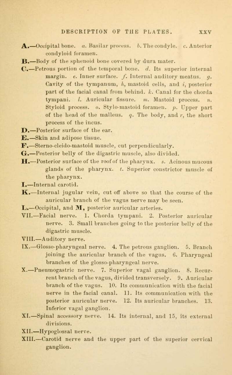 A.—Occipital bone. <i. Basilar process. 6. The condyle, c. Anterior condyloid foramen. B.—Body of the sphenoid bone covered by dura mater. C—Petrous portion of tbe temporal bone. </. Its superior internal margin, e. Inner surface, f. Internal auditory meatus, g. Cavity of the tympanum, It, mastoid cells, and i, posterior part of the facial canal from behind, k. ('anal for the chorda tympani. /. Auricular fissure. m. Mastoid process, u. Styloid process, o. Stylo-mastoid foramen, p. Upper part of the bead of the malleus. 7. The body, and r, the short process of the incus. D.—Posterior surface of the ear. E.—Skin and adipose tissue. F.—Sterno-cleido-mastoid muscle, cut perpendicularly. G.—Posterior belly of the digastric muscle, also divided. H.—Posterior surface of the roof of the pharynx, a. Acinous mucous glands of the pharynx, t. Superior constrictor muscle of the pharynx. I.—Internal carotid. K.—Internal jugular vein, cut off above so that the course of the auricular branch of the vagus nerve may be seen. L.—Occipital, and M, posterior auricular arteries. VII.—Facial nerve. 1. Chorda tympani. 2. Posterior auricular nerve. 3. Small branches going to the posterior belly of the digastric muscle. VIII.—Auditory nerve. IX.—Glossopharyngeal nerve. 4. The petrous ganglion. 5. Branch joining the auricular branch of the vagus. 6. Pharyngeal branches of the glosso-pharyngeal nerve. X.—Pneumogastric nerve. 7. Superior vagal ganglion. 8. Recur- rent branch of the vagus, divided transversely. 9. Auricular branch of the vagus. 10. Its communication with the facial nerve in the facial canal. 11. Its communication with the posterior auricular nerve. 12. Its auricular branches. 13. Inferior vagal ganglion. XI.—Spinal accessory nerve. 14. Its internal, and 15, its external divisions. XII.—Hypoglossal nerve. XIII.—Carotid nerve and the upper part of the superior cervical ganglion.