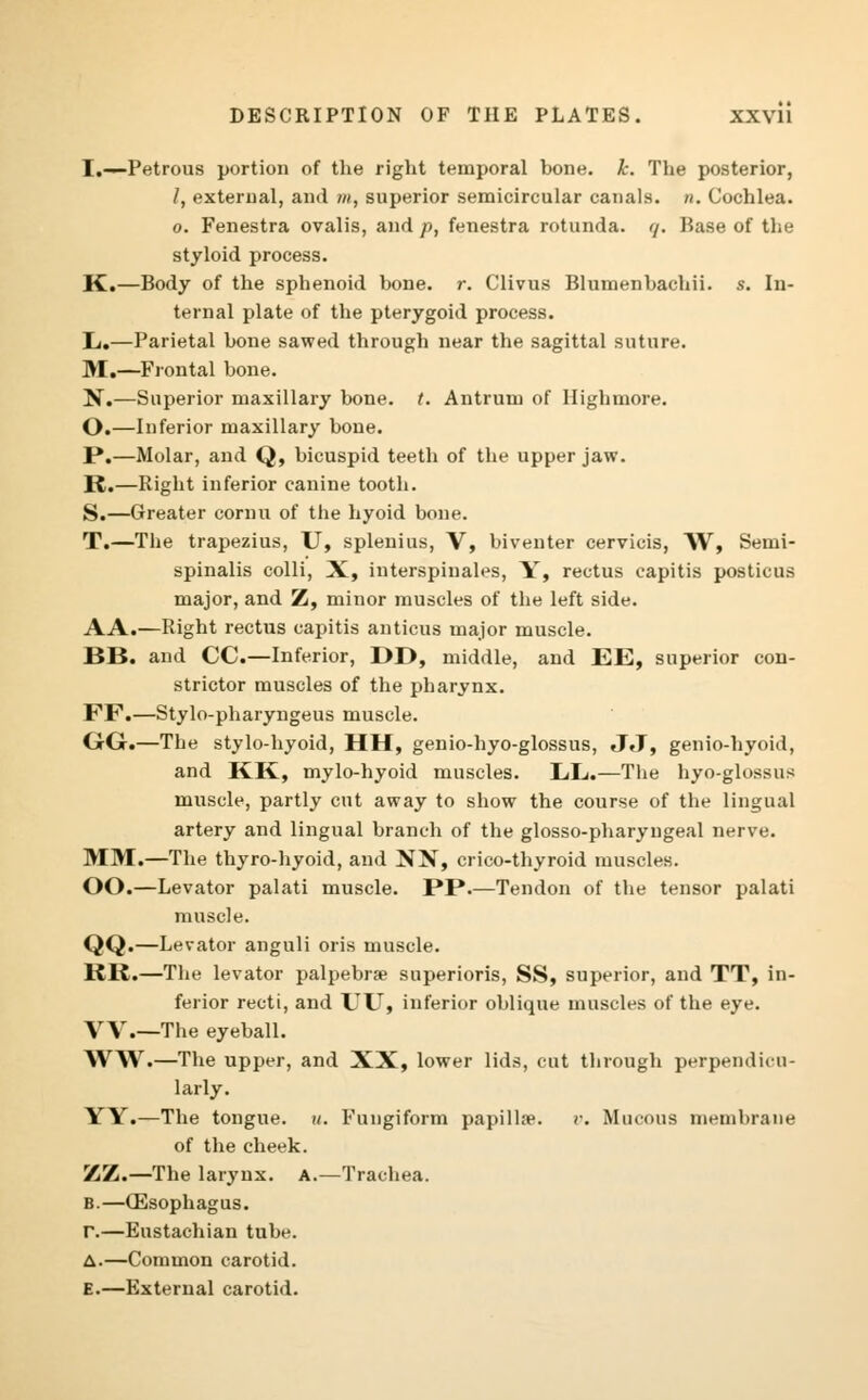 I.—Petrous portion of the right temporal bone. k. The posterior, /, external, and m, superior semicircular canals, n. Cochlea. o. Fenestra ovalis, and p, fenestra rotunda, q. Base of the styloid process. K.—Body of the sphenoid bone. r. Clivus Blumenbachii. s. In- ternal plate of the pterygoid process. L.—Parietal bone sawed through near the sagittal suture. M.—Frontal bone. N.—Superior maxillary bone. t. Antrum of High more. O.—Inferior maxillary bone. P.—Molar, and Q, bicuspid teeth of the upper jaw. R.—Right inferior canine tooth. S.—Greater cornu of the hyoid bone. T.—The trapezius, U, splenitis, V, biventer cervicis, W, Semi- spinalis colli, X, interspinals, Y, rectus capitis posticus major, and Z, minor muscles of the left side. AA.—Right rectus capitis anticus major muscle. BB, and CC.—Inferior, DD, middle, and EE, superior con- strictor muscles of the pbarynx. FF.—Stylo-pharyngeus muscle. GG.—The stylo-hyoid, HH, genio-hyo-glossus, JJ, genio-hyoid, and KK, mylo-hyoid muscles. EL.—The hyo-glossus muscle, partly cut away to show the course of the lingual artery and lingual branch of the glosso-pharyngeal nerve. MM.—The thyro-hyoid, and NN, crico-thyroid muscles. OO.—Levator palati muscle. PP.—Tendon of the tensor palati muscle. QQ.—Levator anguli oris muscle. KR.—The levator palpebral superioris, SS, superior, and TT, in- ferior recti, and UU, inferior oblique muscles of the eye. W.—The eyeball. WW.—The upper, and XX, lower lids, cut through perpendicu- larly. YY.—The tongue, u. Fungiform papillse. v. Mucous membrane of the cheek. ZZ.—The larynx. A.—Trachea. B.—Oesophagus. r.—Eustachian tube. A.—Common carotid. E.—External carotid.