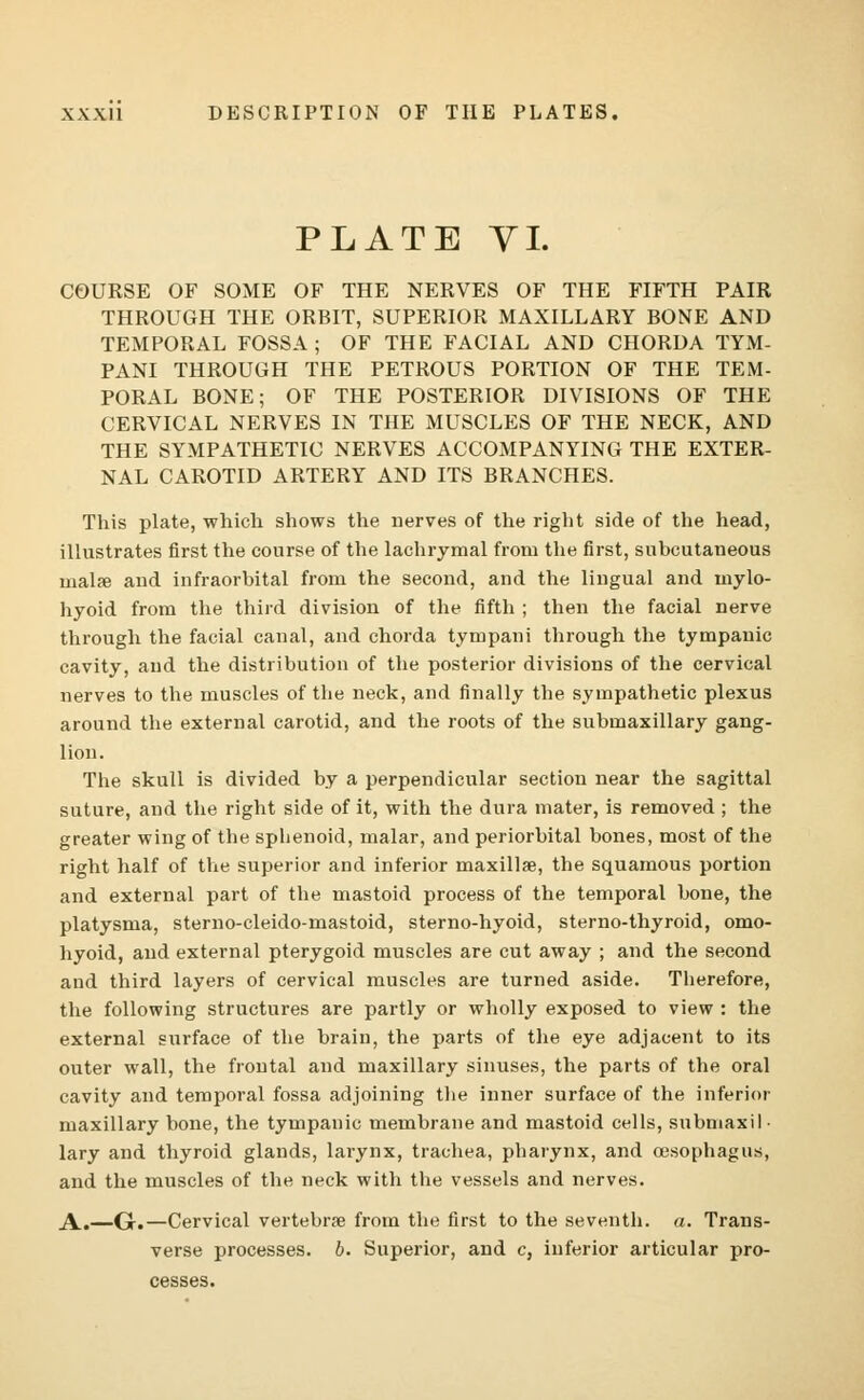 PLATE YI. COURSE OF SOME OF THE NERVES OF THE FIFTH PAIR THROUGH THE ORBIT, SUPERIOR MAXILLARY BONE AND TEMPORAL FOSSA ; OF THE FACIAL AND CHORDA TYM- PANI THROUGH THE PETROUS PORTION OF THE TEM- PORAL BONE; OF THE POSTERIOR DIVISIONS OF THE CERVICAL NERVES IN THE MUSCLES OF THE NECK, AND THE SYMPATHETIC NERVES ACCOMPANYING THE EXTER- NAL CAROTID ARTERY AND ITS BRANCHES. This plate, which shows the nerves of the right side of the head, illustrates first the course of the lachrymal from the first, subcutaneous malae and infraorbital from the second, and the lingual and mylo- hyoid from the third division of the fifth ; then the facial nerve through the facial canal, and chorda tympani through the tympanic cavity, and the distribution of the posterior divisions of the cervical nerves to the muscles of the neck, and finally the sympathetic plexus around the external carotid, and the roots of the submaxillary gang- lion. The skull is divided by a perpendicular section near the sagittal suture, and the right side of it, with the dura mater, is removed ; the greater wing of the sphenoid, malar, and periorbital bones, most of the right half of the superior and inferior maxillae, the squamous portion and external part of the mastoid process of the temporal bone, the platysma, sterno-cleido-mastoid, sterno-hyoid, sterno-thyroid, omo- hyoid, and external pterygoid muscles are cut away ; and the second and third layers of cervical muscles are turned aside. Therefore, the following structures are partly or wholly exposed to view : the external surface of the brain, the parts of the eye adjacent to its outer wall, the frontal and maxillary sinuses, the parts of the oral cavity and temporal fossa adjoining the inner surface of the inferior maxillary bone, the tympanic membrane and mastoid cells, submaxil • lary and thyroid glands, larynx, trachea, pharynx, and oesophagus, and the muscles of the neck with the vessels and nerves. A.—G.—Cervical vertebrae from the first to the seventh, a. Trans- verse processes, b. Superior, and c, inferior articular pro- cesses.