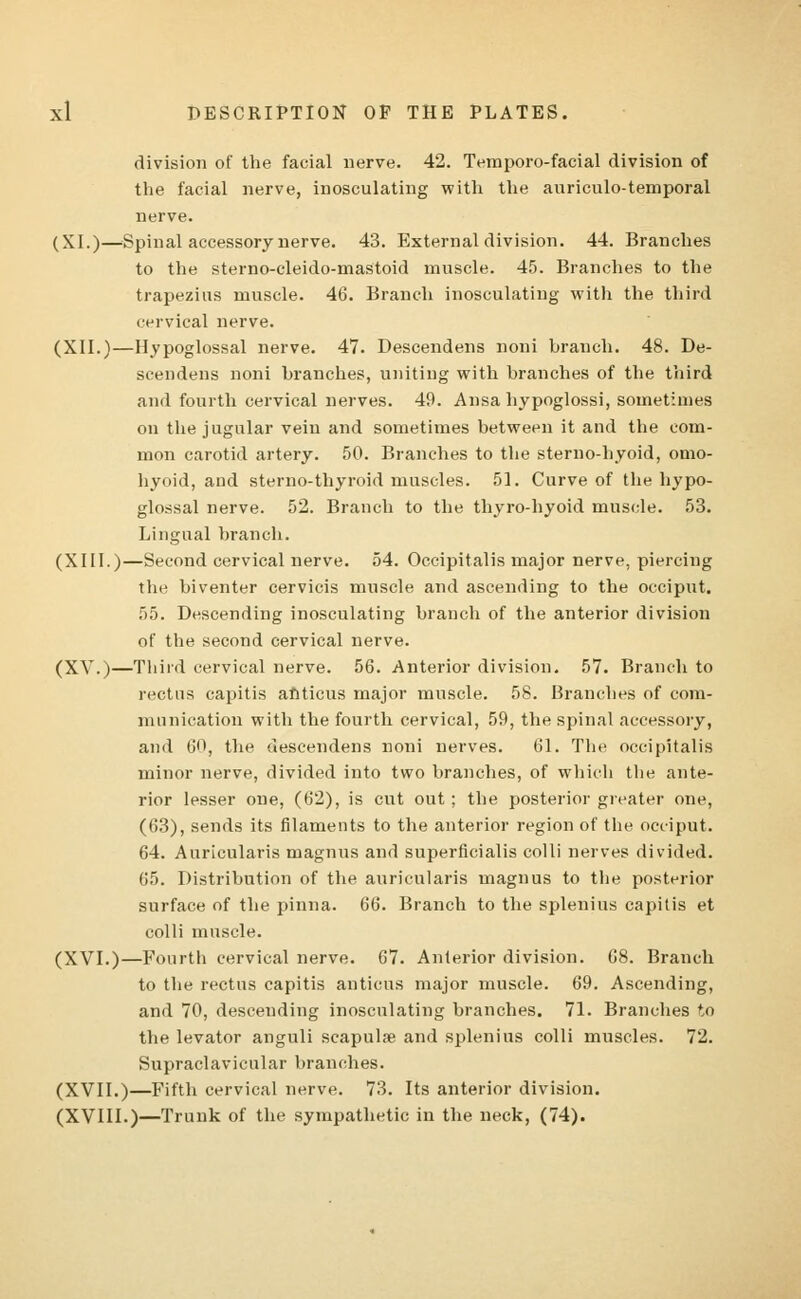 division of the facial nerve. 42. Temporo-facial division of the facial nerve, inosculating with the auriculo-temporal nerve. (XI.)—Spinal accessory nerve. 43. External division. 44. Branches to the sterno-cleido-mastoid muscle. 45. Branches to the trapezius muscle. 46. Branch inosculating with the third cervical nerve. (XII.)—Hypoglossal nerve. 47. Descendens noni branch. 48. De- scendens noni branches, uniting with branches of the third and fourth cervical nerves. 49. Ansa hypoglossi, sometimes on the jugular vein and sometimes between it and the com- mon carotid artery. 50. Branches to the sterno-hyoid, omo- hyoid, and sterno-thyroid muscles. 51. Curve of the hypo- glossal nerve. 52. Branch to the thyro-hyoid muscle. 53. Lingual branch. (XIII.)—Second cervical nerve. 54. Occipitalis major nerve, piercing the biventer cervicis muscle and ascending to the occiput. 55. Descending inosculating branch of the anterior division of the second cervical nerve. (XV.)—Third cervical nerve. 56. Anterior division. 57. Branch to rectus capitis anticus major muscle. 58. Branches of com- munication with the fourth cervical, 59, the spinal accessory, and 60, the descendens noni nerves. 61. The occipitalis minor nerve, divided into two branches, of which the ante- rior lesser one, (62), is cut out ; the posterior greater one, (63), sends its filaments to the anterior region of the occiput. 64. Auricularis magnus and superficialis colli nerves divided. 65. Distribution of the auricularis magnus to the posterior surface of the pinna. 66. Branch to the splenitis capitis et colli muscle. (XVI.)—Fourth cervical nerve. 67. Anterior division. 68. Branch to the rectus capitis anticus major muscle. 69. Ascending, and 70, descending inosculating branches. 71. Branches to the levator anguli scapulae and splenitis colli muscles. 72. Supraclavicular branches. (XVII.)—Fifth cervical nerve. 73. Its anterior division. (XVIII.)—Trunk of the sympathetic in the neck, (74).