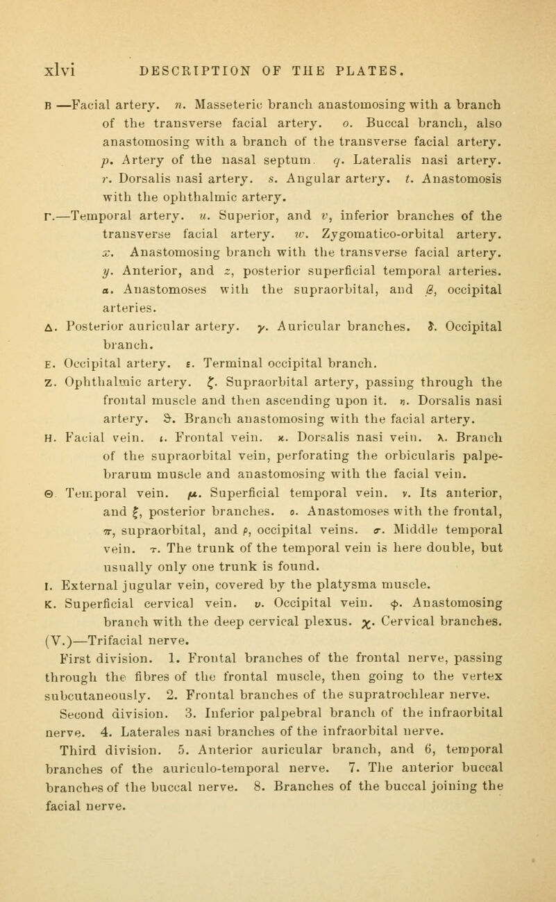 j? —Facial artery, n. Masseteric branch anastomosing with a branch of the transverse facial artery. o. Buccal branch, also anastomosing with a branch of the transverse facial artery. p. Artery of the nasal septum g. Lateralis nasi artery. r. Dorsalis nasi artery, s. Angular artery, t. Anastomosis with the ophthalmic artery. r.—Temporal artery, u. Superior, and v, inferior branches of the transverse facial artery. w. Zygomaticoorbital artery. x. Anastomosing branch with the transverse facial artery. y. Anterior, and z, posterior superficial temporal arteries. «. Anastomoses with the supraorbital, and 8> occipital arteries. A. Posterior auricular artery, y. Auricular branches, i. Occipital branch. E. Occipital artery, e. Terminal occipital branch. Z. Ophthalmic artery. £. Supraorbital artery, passing through the frontal muscle and then ascending upon it. n. Dorsalis nasi artery. S. Branch anastomosing with the facial artery. H. Facial vein. i. Frontal vein. x. Dorsalis nasi vein. x. Branch of the supraorbital vein, perforating the orbicularis palpe- brarum muscle and anastomosing with the facial vein. 0 Temporal vein. /t*. Superficial temporal vein. v. Its anterior, and £, posterior branches, o. Anastomoses with the frontal, ir, supraorbital, and f>, occipital veins, a-. Middle temporal vein. t. The trunk of the temporal vein is here double, but usually only one trunk is found. I. External jugular vein, covered by the platysma muscle. K. Superficial cervical vein. v. Occipital vein. <f>. Anastomosing branch with the deep cervical plexus. £. Cervical branches. (V.)—Trifacial nerve. First division. 1. Frontal branches of the frontal nerve, passing through the fibres of the frontal muscle, then going to the vertex subcutaneously. 2. Frontal branches of the supratrochlear nerve. Second division. 3. Inferior palpebral branch of the infraorbital nerve. 4. Laterales nasi branches of the infraorbital nerve. Third division. 5. Anterior auricular branch, and 6, temporal branches of the auriculotemporal nerve. 7. The anterior buccal branches of the buccal nerve. 8. Branches of the buccal joining the facial nerve.