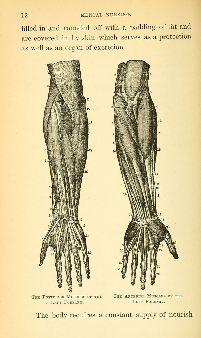 filled in and rounded off with a padding of fat and are covered in by skin which serves as a protection as well as an organ of excretion. The Posterior Muscles of xhie The Anterior Muscles of the . Left Forearm. Left Foeearji. The body requires a constant supply of nourish-