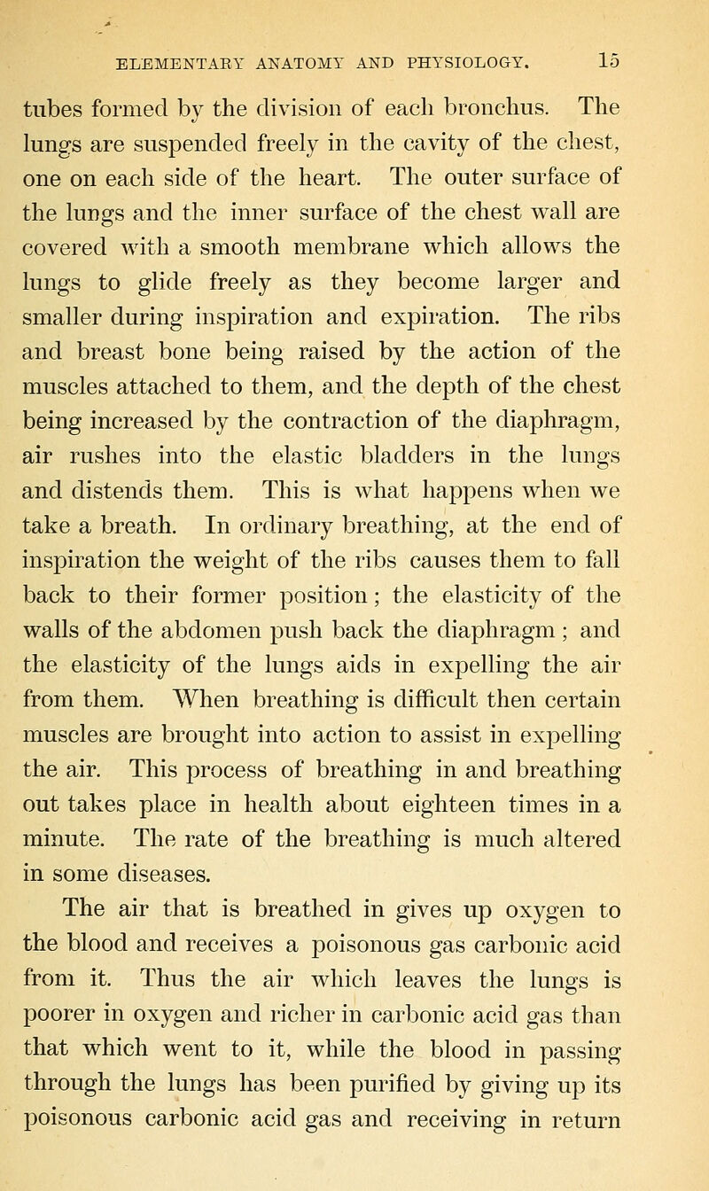 tubes formed by the division of each bronchus. The lungs are suspended freely in the cavity of the chest, one on each side of the heart. The outer surface of the lungs and the inner surface of the chest wall are covered with a smooth membrane which allows the lungs to glide freely as they become larger and smaller during inspiration and expiration. The ribs and breast bone being raised by the action of the muscles attached to them, and the depth of the chest being increased by the contraction of the diaphragm, air rushes into the elastic bladders in the lungs and distends them. This is what happens when we take a breath. In ordinary breathing, at the end of inspiration the weight of the ribs causes them to fall back to their former position; the elasticity of the walls of the abdomen push back the diaphragm ; and the elasticity of the lungs aids in expelling the air from them. When breathing is difficult then certain muscles are brought into action to assist in expelling the air. This process of breathing in and breathing out takes place in headth about eighteen times in a minute. The rate of the breathing is much altered in some diseases. The air that is breathed in gives up oxygen to the blood and receives a poisonous gas carbonic acid from it. Thus the air which leaves the lungs is poorer in oxygen and richer in carbonic acid gas than that which went to it, while the blood in passing through the lungs has been purified by giving up its poisonous carbonic acid gas and receiving in return