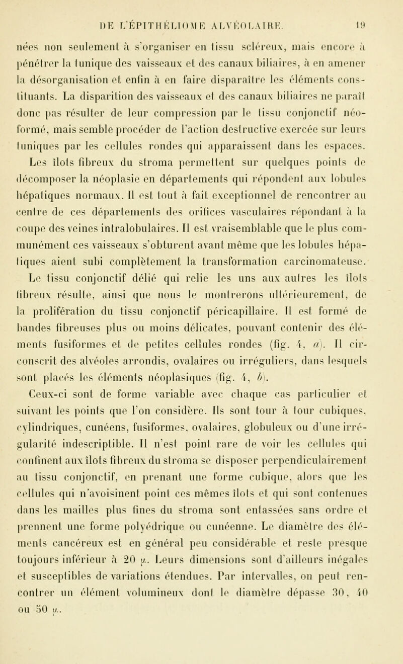 iiéos lion sciilomciil ù s'organiser on lissu scléreux, mais encore k pénétrer la Iunique des vaisseaux el des canaux biliaires, à en amener la désorganisation et enfin à en faire disparaître les éléments cons- lituants, La disparition des vaisseaux et des canaux biliaires ne paraît donc pas résulter de leur compression par le lissu conjonctif néo- l'oimé, mais semble procéder de Faction destructive exercée sur leurs I uniques par les cellules rondes qui apparaissent dans les espaces. Les îlots fibreux du stroma permettent sur quelques points de décomposer la néoplasie en déparlements qui répondent aux lobules hépatiques normaux. 11 est tout à fait exceptionnel de rencontrer au centre de ces départements des orifices vasculaires répondant à la coupe des veines intralobulaires. 11 est vraisemblable que le plus com- munément ces vaisseaux s'obturent avant même que les lobules hépa- liques aient subi complètement la transformation carcinomateuse. Le lissu conjonctif délié qui relie les uns aux autres les îlots fibreux résulte, ainsi que nous le montrerons ultérieurement, de la prolifération du tissu conjonctif péricapillaire. Il est formé de i)andes fibreuses plus ou moins délicates, pouvant contenir des élé- ments fusiformes et de petites cellules rondes (fig. 4, a). Il cir- conscrit des alvéoles arrondis, ovalaires ou irréguliers, dans lesquels sont placés les éléments néoplasiques (fig. i, />i. Ceux-ci sont de forme variable avec chaque cas particulier et suivant les points que l'on considère. Ils sont tour à tour cubiques, cylindriques, cunéens, fusiformes. ovalaires. globuleux ou d'une irré- gularité indescriptible. Il n'est point rare de voir les cellules qui confinent aux îlots fibreux du stroma se disposer perpendiculairement nu lissu conjonctif, en prenant une forme cubique, alors que les cellules qui ii'avoisinent point ces mêmes îlots et qui sont contenues dans les mailles plus fines du stroma sont entassées sans ordre et prennent uni^ forme polyédrique ou cunéenne. Le diamètre des élé- ments cancéreux est en général peu considérable et reste presque toujours inférieur à 20 a. Leurs dimensions sont d'ailleurs inégales et susceptibles de vaiiations étendues. Par intervalles, on peut ren- contrer un élément volumineux dont lo diamèlre dépasse 30, iO ou 50 17..