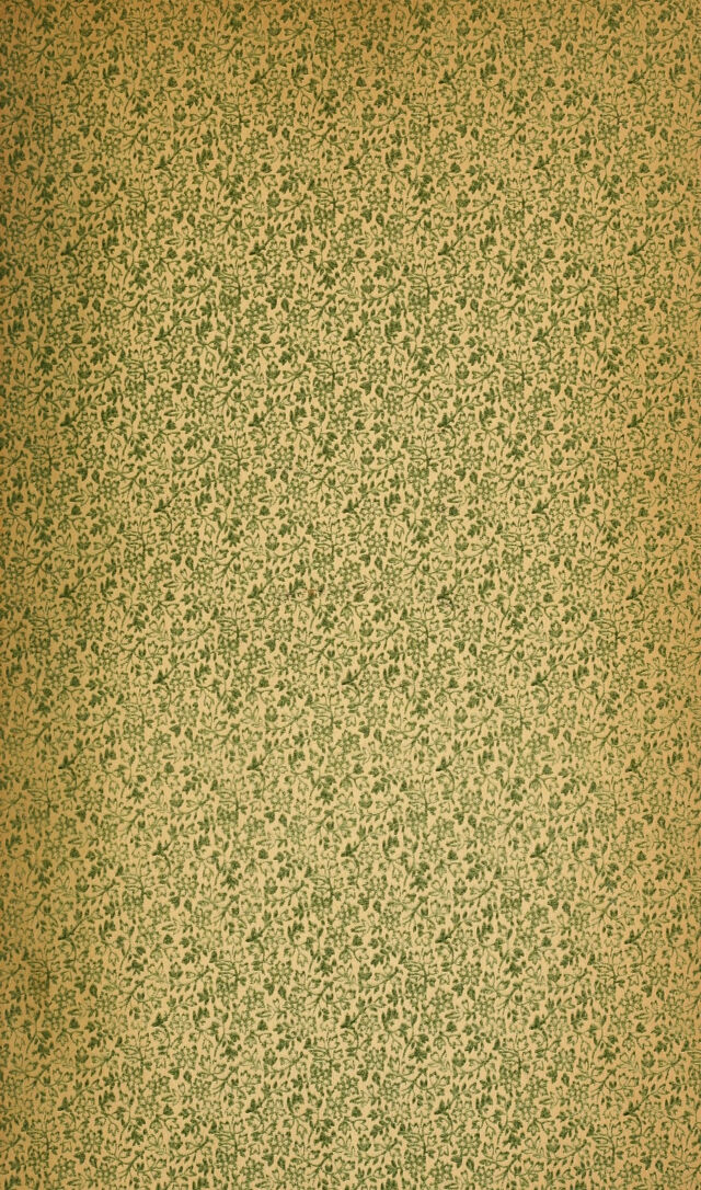 digitised image 3