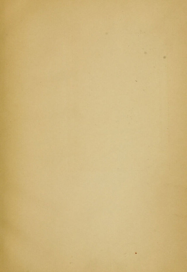 digitised image 3