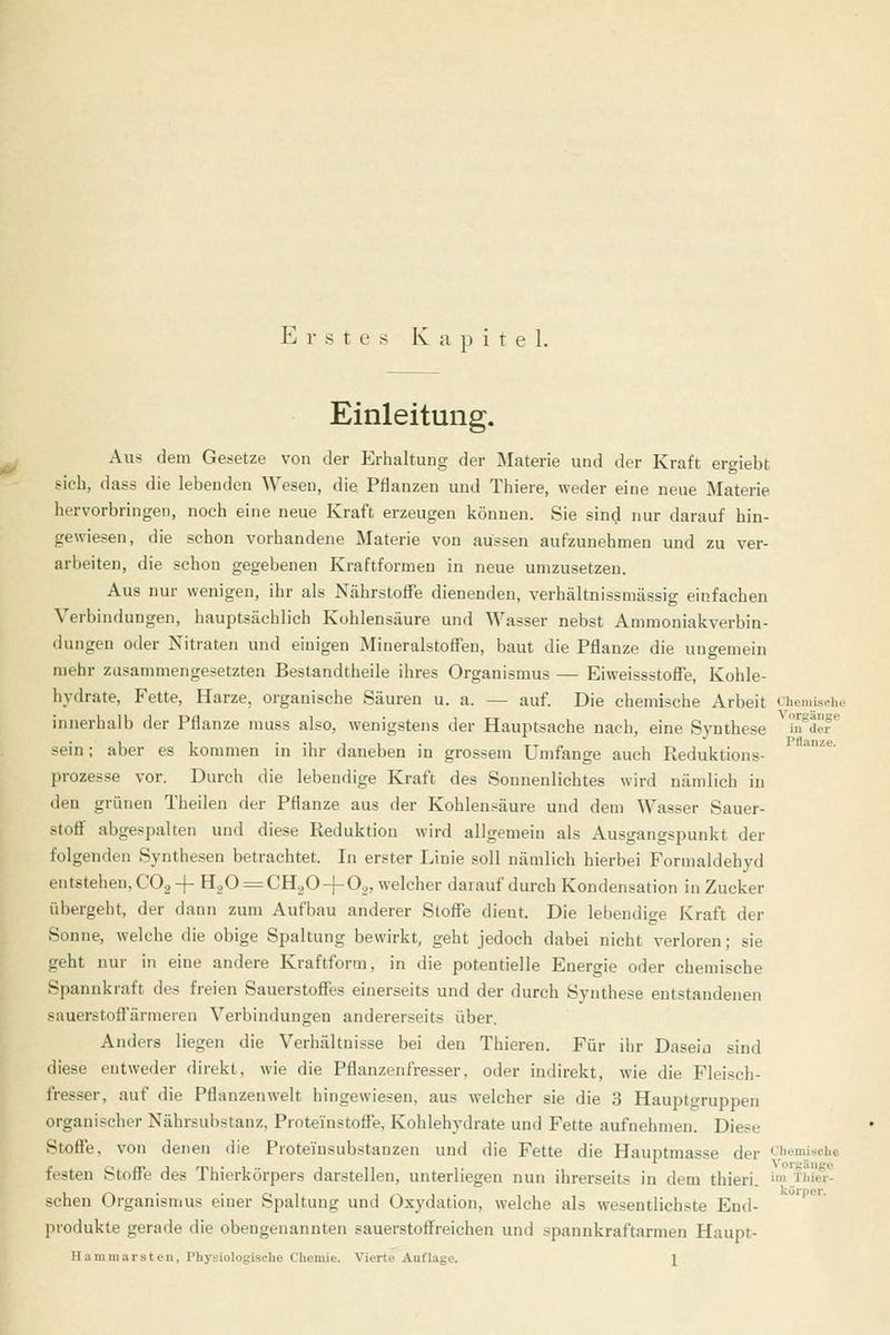 orgaiige in der Pflanze. Erstes Kapitel. Einleitung. Aus dem Gesetze von der Erhaltung der Materie und der Kraft ergiebt sich, dass die lebenden Wesen, die. Pflanzen und Thiere, weder eine neue Materie hervorbringen, noch eine neue Kraft erzeugen können. Sie sind nur darauf hin- gewiesen, die schon vorhandene Materie von aussen aufzunehmen und zu ver- arbeiten, die schon gegebenen Kraftformen in neue umzusetzen. Aus nur wenigen, ihr als Nährstoffe dienenden, verhältnissmässig einfachen Verbindungen, hauptsächlich Kohlensäure und Wasser nebst Ammoniakverbin- dungen oder Nitraten und einigen Mineralstoffen, baut die Pflanze die ungemein mehr zusamniengerietzten Bestandtheile ihres Organismus — Eiweissstoffe, Kohle- hydrate, Fette, Harze, organische Säuren u. a. — auf. Die chemische Arbeit tTiemisch^ innerhalb der Pflanze muss also, wenigstens der Hauptsache nach, eine Synthese .*ein; aber es kommen in ihr daneben in grossem Umfange auch Reduktions- prozesse vor. Durch die lebendige Kraft des Sonnenlichtes wird nämlich in den grünen Theilen der Pflanze aus der Kohlen,«äure und dem Wasser Sauer- stoff abgespalten und diese Reduktion wird allgemein als Ausgangspunkt der folgenden Synthesen betrachtet. In erster Linie soll nämlich hierbei Formaldehyd entstehen, COg-f H.,0 = CH20-|-0^„ welcher darauf durch Kondensation in Zucker übergeht, der dann zum Aufbau anderer Stoffe dient. Die lebendige Kraft der Sonne, welche die obige Spaltung bewirkt, geht jedoch dabei nicht verloren; sie geht nur in eine andere Kraftform, in die potentielle Energie oder chemische Spannkraft des freien Sauerstoffes einerseits und der durch Synthese entstandenen sauerstoffärmeren Verbindungen andererseits über. Anders liegen die Verhältnisse bei den Thieren. Für ihr Daseiü sind diese entweder direkt, wie die Pflanzenfresser, oder indirekt, wie die Fleisch- fresser, auf die Pflanzenwelt hingewiesen, aus welcher sie die 3 Hauptgruppen organischer Nährsubstanz, Proteinstoffe, Kohlehydrate und Fette aufnehmen. Diese Stoffe, von denen die Proteinsubstanzen und die Fette die Hauptmasse der CiemiscUe festen Stoffe des Thierkörpers darstellen, unterliegen nun ihrerseits in dem thieri. imji'iw sehen Organismus einer Spaltung und Oxydation, welche als wesentlichste End- produkte gerade die obengenannten sauerstoffreichen und spannkraftarmen Haupt-