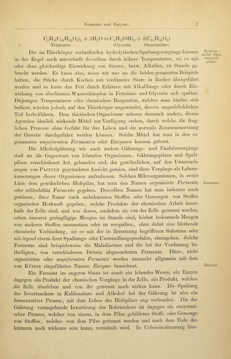 Fermente und Enzyme. - Tiistcariii Glycerin Stearinsäure Die im Thierkörper vorhiufeiideii hydrolytischoii 8i)Jiltuiig.svor<j;ängc können ij|,q'jI^;;,. in der Regel auch iiusserlialh dcs.sell)en durch liühere 'l'enipenituren, sei es mit '.^^,4'^' oder ohne gleielizeitige Einwirkung von Säuren, bezw. Alkalien, zu Stande ge- braclil werden. Es kann also, wenn wir uns an die beiden genannten Beispiele halten, die Stärke durch Kochen mit verdünnter Säure in Zucker übcrgeiuhrt werden und es kann das Fett durch Erhitzen jnit Alkalilauge oder durch Ein- wirkung von überhitzten Wasserdämpfeu in Fettsäure und Glycerin sich sj)alten. Diejenigen Temperaturen oder chemischen Reagentien, welcher man hierbei sich bedient, würden jedoch, auf den Thierkörper angewen<let, dessen augenblicklichen Tod herbeiführen. Dem thierischen Organismus müssen demnach andere, diesen Agentien ähnlich wirkende Mittel zur Verfügung stehen, durch welche die frag- lichen Prozesse ohne Gefahr für'das Leben und die normale Zusammensetzung der Gewebe durchgeführt werden können. Solche Mittel hat man in den so- genannten imgeforviten Fermenten oder Enzymen kenneu gelernt. Die Alkoholgährung wie auch andere Gähruugs- und Fäulnissvorgänge sind an die Gegenwart von lebenden Organismen, Gähruugspilzen und Spalt- ])ilzen verschiedener Art, gebunden und, der gewöhnlichen, auf den Untersuch- ungen von Pasteur gegründeten Ansicht gemäss, sind diese Vorgänge als Lebeus- äusseruugen dieser Organismen aufzufassen. Solchen Mikroorganismen, in erster Linie dem gewöhnlichen Hefepilze, hat man den Namen organisirte Fermente Fonnonto. oder schlechthin Fermente gegeben. Denselben Namen hat man indessen auch gewissen, ihrer Natur nach unbekannten Stoffen oder Gemengen von Stoßen organischer Herkunft gegeben, welche Produkte der chemischen Arbeit inner- halb der Zelle sind, und von denen, nachdem sie von der Zelle getrennt worden, schon äusserst geringfügige Mengen im Stande sind, höchst bedeutende Mengen von anderen Stoffen umzusetzen oder zu zerspalten, ohne dabei eine bleibende chemische Verbindung, sei es mit der in Zersetzung begriffenen Substanz oder mit irgend einem ihrer Spaltungs- oder Umwandlungsprodukte, einzugehen. Solche Fermente sind beispielsweise die Malzdiastase und die bei der Verdauung be- theiligten, von verschiedenen Drüsen abgesonderten Fermente. Diese, nicht organisirten oder umjeformten Fermente werden nunmehr allgemein mit dem von Kühne eingeführten Namen Enzyme bezeichnet. Enzyme. Ein Ferment im engeren Sinne ist somit ein lebendes Wesen, ein Enzym dagegen ein Produkt der chemischen Vorgänge in der Zelle, ein Produkt, welches die Zelle überleben und von ihr getrennt noch wirken kann. Die Spaltung des Invertzuckers in Kohlensäure und Alkohol bei der Gähruug ist also ein fermentativer Prozess, mit dem Leben des Hefepilzes eng verbunden. Die der Gährung vorangehende Livertirung des Rohrzuckers ist dagegen ein enzymati- scher Prozess, welcher von einem, in dem Pilze gebildeten Stoffe oder Gemenge von Stoffen, welches von dem Pilze getrennt werden und nach dem Tode des letzteren noch wirksam sein kann, vermittelt wird. In Uebereinstimmung hier-