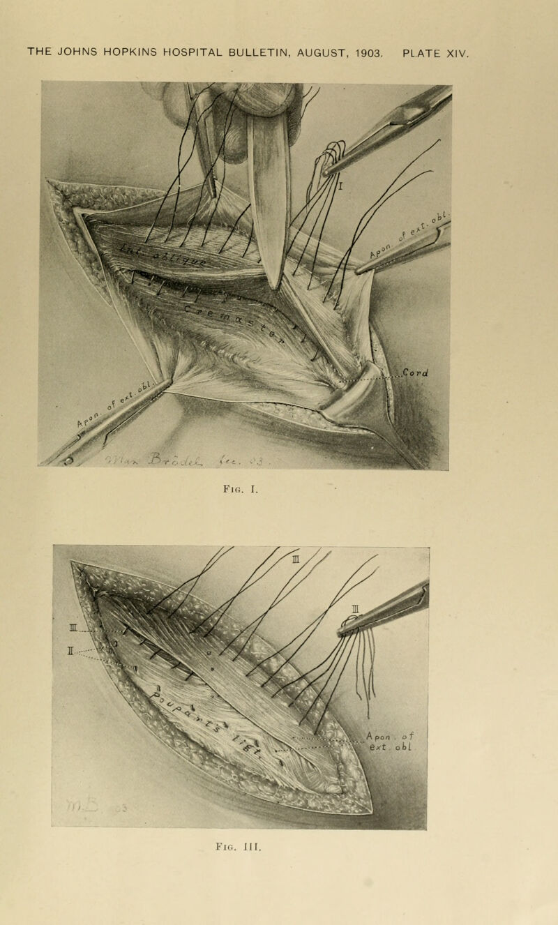 Fig. I. Fi<;. in.