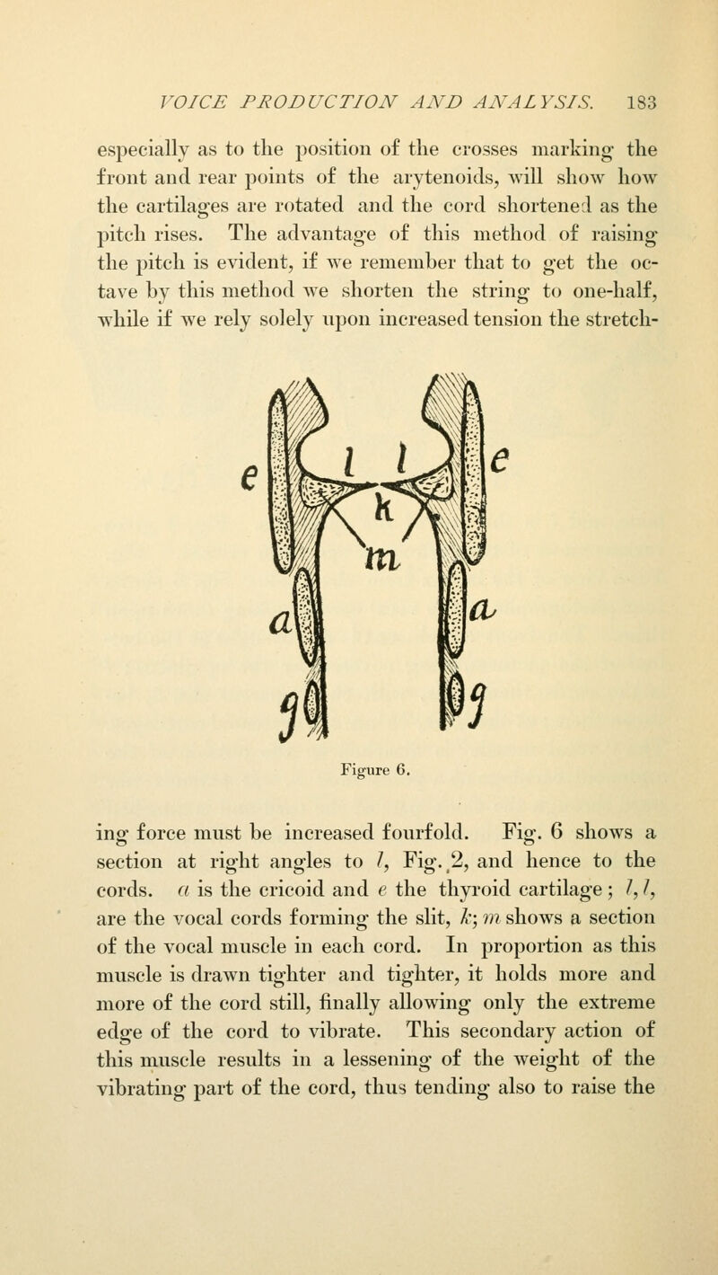 markino' the especially as to the position of the crosses front and rear points of the arytenoids, will show how the cartilages are rotated and the cord shortened as the pitch rises. The advantage of this method of raising the pitch is evident, if we remember that to get the oc- tave by this method we shorten the string to one-half, while if we rely solely npon increased tension the stretch- Figure 6. inof force must be increased fourfold. Figf. 6 shows a section at right angles to /, Fig. 2, and hence to the cords, a is the cricoid and e the thyroid cartilage ; /, /, are the vocal cords forming the slit, A*; 7?^ shows a section of the vocal muscle in each cord. In proportion as this muscle is drawn tighter and tighter, it holds more and more of the cord still, finally allowing only the extreme edge of the cord to vibrate. This secondary action of this muscle results in a lessening of the weight of the vibrating part of the cord, thus tending also to raise the