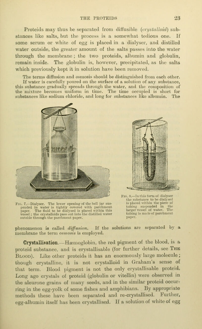 Proteids may thus be separated from diffusible (crystalloid) sub- stances like salts, but the process is a somewhat tedious one. If some serum or white of egg is placed in a dialyser, and distilled water outside, the greater amount of the salts passes into the water through the membrane ; the two proteids, albumin and globulin, remain inside. The globulin is, however, precipitated, as the salts which previously kept it in solution have been removed. The terms diffusion and osmosis should be distinguished from each other. If water is carefully poured on the surface of a solution of any substance, this substance gradually spreads through the water, and the composition of the mixture becomes uniform in time. The time occupied is short for substances like sodium chloride, and long for substances like albumin. The Fn;. 7.—Dialyser. The lower opening of the bell jar sus- pended in water is tightly covered with parchment paper. The fluid to be dialysed is placed within this vessel ; the crystalloids pass out into the distilled water outside through the parchment paper. FIG. 8.—In this form of dialyser the substance to be dialysed i- placed within the piece of tubing suspended in the larger vessel of water. The tubing is made of parchment paper. phenomenon is called diffusion. If the solutions are separated by a membrane the term osmosis is employed. Crystallisation.—Haemoglobin, the red pigment of the blood, is a proteid substance, and is crystallisable (for further details, see The Blood). Like other proteids it has an enormously large molecule ; though crystalline, it is not crystalloid in Graham's sense of that term. Blood pigment is not the only crystallisable proteid. Long ago crystals of proteid (globulin or vitellin) were observed in the aleurone grains of many seeds, and in the similar proteid occur- ring in the egg-yolk of some fishes and amphibians. By appropriate methods these have been separated and re-crystallised. Further, egg-albtimin itself has been crystallised. If a solution of white of egg
