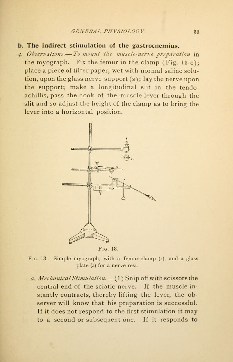 b. The indirect stimulation of the gastrocnemius. 4. Observations.— To mount the muscle-nerve preparation in the myograph. Fix the femur in the clamp (Fig. 13-c); place a piece of filter paper, wet with normal saline solu- tion, upon the glass nerve support (s); lay the nerve upon the support; make a longitudinal slit in the tendo achillis, pass the hook of the muscle lever through the slit and so adjust the height of the clamp as to bring the lever into a horizontal position. Fig. 13. Fig. 13. Simple myograph, with a femur-clamp (<-), and a glass plate (s) for a nerve rest. a. Mechanical Stimulation.—(1) Snip off with scissors the central end of the sciatic nerve. If the muscle in- stantly contracts, thereby lifting the lever, the ob- server will know that his preparation is successful. If it does not respond to the first stimulation it may to a second or subsequent one. If it responds to