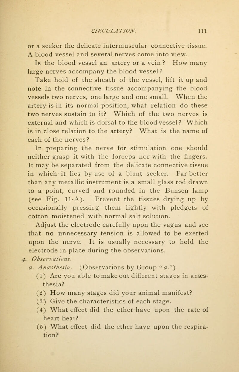 or a seeker the delicate intermuscular connective tissue. A blood vessel and several nerves come into view. Is the blood vessel an artery or a vein ? How many large nerves accompany the blood vessel ? Take hold of the sheath of the vessel, lift it up and note in the connective tissue accompanying the blood vessels two nerves, one large and one small. When the artery is in its normal position, what relation do these two nerves sustain to it? Which of the two nerves is external and which is dorsal to the bloodvessel? Which is in close relation to the artery? What is the name of each of the nerves? In preparing the nerve for stimulation one should neither grasp it with the forceps nor with the fingers. It may be separated from the delicate connective tissue in which it lies by use of a blunt seeker. Far better than any metallic instrument is a small glass rod drawn to a point, curved and rounded in the Bunsen lamp (see Fig. 11-A). Prevent the tissues drying up by occasionally pressing them lightly with pledgets of cotton moistened with normal salt solution. Adjust the electrode carefully upon the vagus and see that no unnecessary tension is allowed to be exerted upon the nerve. It is usually necessary to hold the electrode in place during the observations. Observations. a. Anesthesia. (Observations by Group a.) (1) Are you able to make out different stages in anaes- thesia? (2) How many stages did your animal manifest? (3) Give the characteristics of each stage. (4) What effect did the ether have upon the rate of heart beat? (5) What effect did the ether have upon the respira- tion?