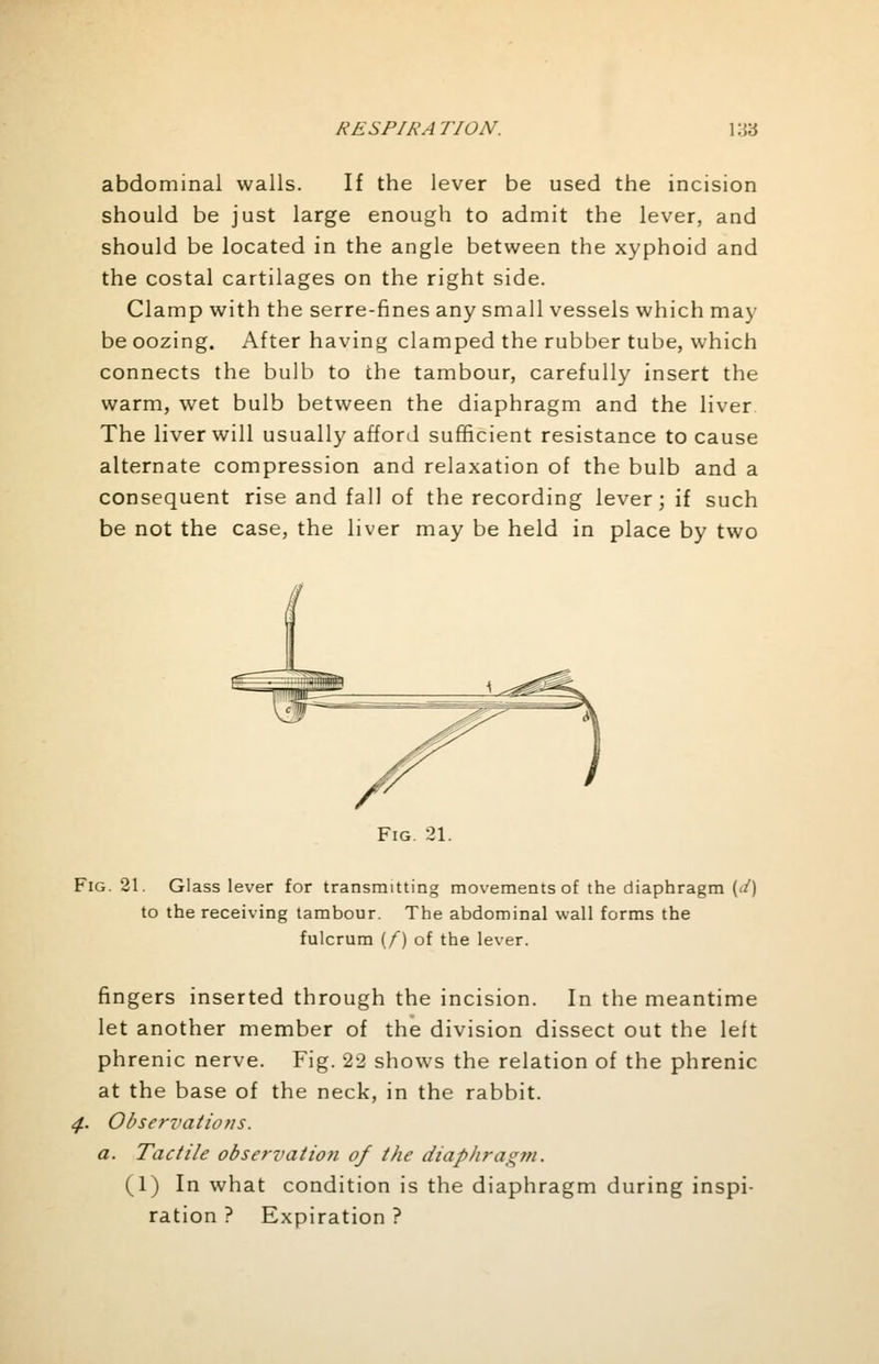 abdominal walls. If the lever be used the incision should be just large enough to admit the lever, and should be located in the angle between the xyphoid and the costal cartilages on the right side. Clamp with the serre-fines any small vessels which may be oozing. After having clamped the rubber tube, which connects the bulb to the tambour, carefully insert the warm, wet bulb between the diaphragm and the liver The liver will usually afford sufficient resistance to cause alternate compression and relaxation of the bulb and a consequent rise and fall of the recording lever; if such be not the case, the liver may be held in place by two Fig. 21. Fig. 21. Glass lever for transmitting movements of the diaphragm (</) to the receiving tambour. The abdominal wall forms the fulcrum (/) of the lever. fingers inserted through the incision. In the meantime let another member of the division dissect out the left phrenic nerve. Fig. 22 shows the relation of the phrenic at the base of the neck, in the rabbit. Observations, a. Tactile observation of the diaphragm. (1) In what condition is the diaphragm during inspi- ration ? Expiration ?