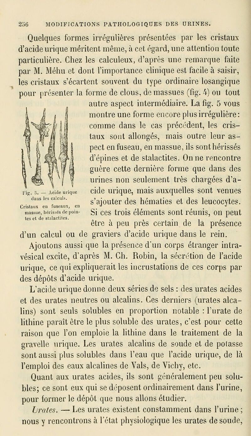 fig. S. — Acide urique dans les calculs. Cristaux en fuseaux, en massue, hérissés de poin- tes et de stalactites. Quelques formes irrégulières présentées par les cristaux d'acide urique méritent même, à cet égard, une attention toute particulière. Chez les calculeux, d'après une remarque faite par M. Méhu et dont l'importance clinique est facile à saisir, les cristaux s'écartent souvent du type ordinaire losangique pour présenter la forme de clous, de massues (fig. 4) ou tout autre aspect intermédiaire. La fig. 5 vous montre une forme encore plus irrégulière: comme dans le cas précédent, les cris- taux sont allongés, mais outre leur as- pect en fuseau, en massue, ils sont hérissés d'épines et de stalactites. On ne rencontre guère cette dernière forme que dans des urines non seulement très chargées d'a- cide urique, mais auxquelles sont venues s'ajouter des hématies et des leucocytes. Si ces trois éléments sont réunis, on peut être à peu près certain de la présence d'un calcul ou de graviers d'acide urique dans le rein. Ajoutons aussi que la présence d'un corps étranger intra- vésical excite, d'après M. Ch. Robin, la sécrétion de l'acide urique, ce qui expHquerait les incrustations de ces corps par des dépôts d'acide urique. L'acide urique donne deux séries de sels : des urates acides et des urates neutres ou alcaUns. Ces derniers (urates alca- lins) sont seuls solubles en proportion notable : l'urate de lithine paraît être le plus soluble des urates, c'est pour cette raison que l'on emploie la hthine dans le traitement de la gravelle urique. Les urates alcalins de soude et de potasse sont aussi plus solubles dans l'eau que l'acide urique, de là l'emploi des eaux alcalines de Yals, de Vichy, etc. Quant aux urates acides, ils sont généralement peu solu- bles; ce sont eux qui se déposent ordinairement dans l'urine, pour former le dépôt que nous allons étudier. Lrates. — Les urates existent constamment dans l'urine ; nous y rencontrons à l'état physiologique les urates de soude,