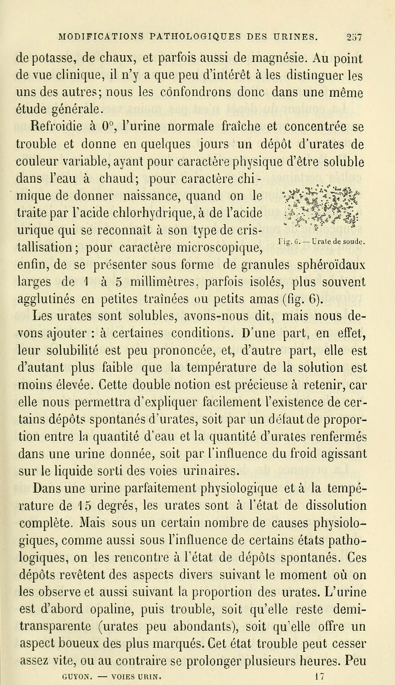 dépotasse, de chaux, et parfois aussi de magnésie. Au point de vue clinique, il n'y a que peu d'intérêt à les distinguer les uns des autres; nous les confondrons donc dans une même étude générale. Refroidie à 0°, l'urine normale fraîche et concentrée se trouble et donne en quelques jours un dépôt d'urates de couleur variable, ayant pour caractère physique d'être soluble dans l'eau à chaud; pour caractère chi- mique de donner naissance, quand on le VvS%^f|f traite par l'acide chlorhydrique, à de l'acide ^^^;^%>ÇSt urique qui se reconnaît à son type de cris-  '^' , iT .• ,« • • Fig.6. — L'rate de soude. talhsation ; pour caractère microscopique, enfin, de se présenter sous forme de granules sphéroïdaux larges de 1 à 5 miUimètres, parfois isolés, plus souvent agglutinés en petites traînées ou petits amas (fig. 6). Les urates sont solubles, avons-nous dit, mais nous de- vons ajouter : à certaines conditions. D'une part, en effet, leur solubiUté est peu prononcée, et, d'autre part, elle est d'autant plus faible que la température de la solution est moins élevée. Cette double notion est précieuse à retenir, car elle nous permettra d'expHquer facilement l'existence de cer- tains dépôts spontanés d'urates, soit par un défaut de propor- tion entre la quantité d'eau et la quantité d'urates renfermés dans une urine donnée, soit par l'influence du froid agissant sur le liquide sorti des voies urinaires. Dans une urine parfaitement physiologique et à la tempé- rature de 15 degrés, les urates sont à l'état de dissolution complète. Mais sous un certain nombre de causes physiolo- giques, comme aussi sous l'influence de certains états patho- logiques, on les rencontre à Tétat de dépôts spontanés. Ces dépôts revêtent des aspects divers suivant le moment où on les observe et aussi suivant la proportion des urates. L'urine est d'abord opaline, puis trouble, soit qu'elle reste demi- transparente (urates peu abondants), soit qu'elle offre un aspect boueux des plus marqués. Cet état trouble peut cesser assez vite, ou au contraire se prolonger plusieurs heures. Peu GUYON. — VOIES URIN. 17