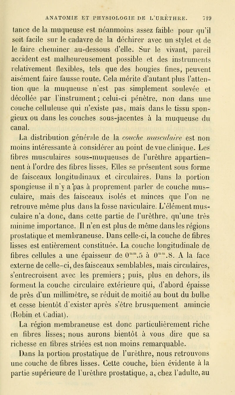 tance de la muqueuse est néanmoins assez faible pour qu'il soit facile sur le cadavre de la déchirer avec un stylet et de le faire cheminer au-dessous d'elle. Sur le vivant, pareil accident est malheureusement possible et des instruments relativement flexibles, tels que des bougies fines, peuvent aisément faire fausse route. Cela mérite d'autant plus l'atten- tion que la muqueuse n'est pas simplement soulevée et décollée par l'instrument ; celui-ci pénètre, non dans une couche celluleuse qui n'existe pas, mais dans le tissu spon- gieux ou dans les couches sous-jacentes à la muqueuse du canal. La distribution générale de la couche musculaire est non moins intéressante à considérer au point de vue clinique. Les fibres musculaires sous-muqueuses de l'urèthre appartien- nent à l'ordre des fibres fisses. Elles se présentent sous forme de faisceaux longitudinaux et circulaires. Dans la portion spongieuse il n'y a'pas à proprement parler de couche mus- culaire, mais des faisceaux isolés et minces que l'on ne retrouve même plus dans la fosse naviculaire. L'élément mus- culaire n'a donc, dans cette partie de l'urèthre, qu'une très minime importance. Il n'en est plus de même dans les régions prostatique et membraneuse. Dans celle-ci, la couche de fibres lisses est entièrement constituée. La couche longitudinale de fibres cellules a une épaisseur de 0'°.5 à 0°.8. A la face externe de celle-ci, des faisceaux semblables, mais circulaires, s'entrecroisent avec les premiers ; puis, plus en dehors, ils forment la couche circulaire extérieure qui, d'abord épaisse de près d'un millimètre, se réduit de moitié au bout du bulbe et cesse bientôt d'exister après s'être brusquement amincie (Robin et (Radiai). La région membraneuse est donc particulièrement riche en fibres fisses; nous aurons bientôt à vous dire que sa richesse en fibres striées est non moins remarquable. Dans la portion prostatique de l'urèthre, nous retrouvons une couche de fibres lisses. Cette couche, bien évidente à la partie supérieure de l'urèthre prostatique, a, chez l'adulte, au