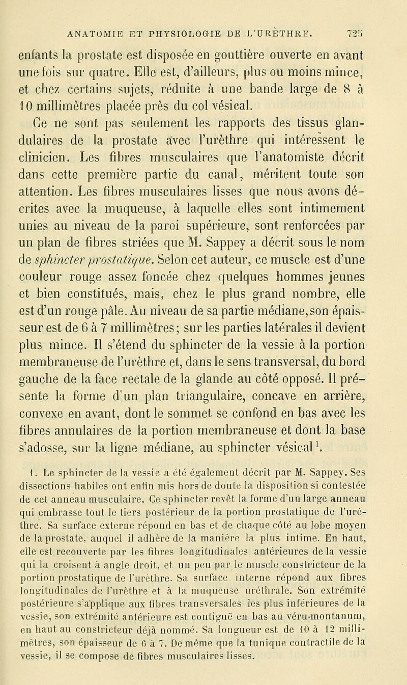 enfants la prostate est disposée en gouttière ouverte en avant une fois sur quatre. Elle est, d'ailleurs, plus ou moins mince, et chez certains sujets, réduite à une bande large de 8 à 10 millimètres placée près du col vésical. Ce ne sont pas seulement les rapports des tissus glan- dulaires de la prostate a:vec l'urèthre qui intéressent le clinicien. Les fibres musculaires que l'anatomiste décrit dans cette première partie du canal, méritent toute son attention. Les fibres musculaires lisses que nous avons dé- crites avec la muqueuse, à laquelle elles sont intimement unies au niveau de la paroi supérieure, sont renforcées par un plan de fibres striées que M. Sappey a décrit sous le nom de sphincter prostatique. Selon cet auteur, ce muscle est d'une couleur rouge assez foncée chez quelques hommes jeunes et bien constitués, mais, chez le plus grand nombre, elle est d'un rouge pâle. Au niveau de sa partie médiane,son épais- seur est de 6 à 7 millimètres ; sur les parties latérales il devient plus mince. Il s'étend du sphincter de la vessie à la portion membraneuse de furèthre et, dans le sens transversal, du bord gauche de la face rectale de la glande au côté opposé, il pré- sente la forme d'un plan triangulaire, concave en arrière, convexe en avant, dont le sommet se confond en bas avec les fibres annulaires de la portion membraneuse et dont la base s'adosse, sur la ligne médiane, au sphincter vésicaP. 1. Le sphincter de la vessie a été également décrit par M. Sappey. Ses dissections habiles ont enfin mis hors de doute la disposition si contestée de cet anneau musculaire. Ce sphincter revêt la forme d'un large anneau qui embrasse tout le tiers postérieur de la portion prostatique de l'urè- thre. Sa surface externe répond en bas et de chaque côté au lobe moyen de la prostate, auquel il adhère de la manière la plus intime. En haut, elle est recouverte par les fibres longitudinales antérieures de la vessie qui la croisent à angle droit, et un peu par le muscle constricteur de la portion prostatique de furèthre. Sa surface interne répond aux fibres longitudinales de l'urèthre et à la muqueuse uréthrale. Son extrémité postérieure s'applique aux fibres transversales les plus inférieures de la vessie, son extrémité antérieure est contiguë en bas au véru-montanum, en haut au constricteur déjà nommé. Sa longueur est de 10 à 12 milli- mètres, son épaisseur de 6 à 7. De môme que la tunique contractile de la vessie, il se compose de fibres musculaires lisses.