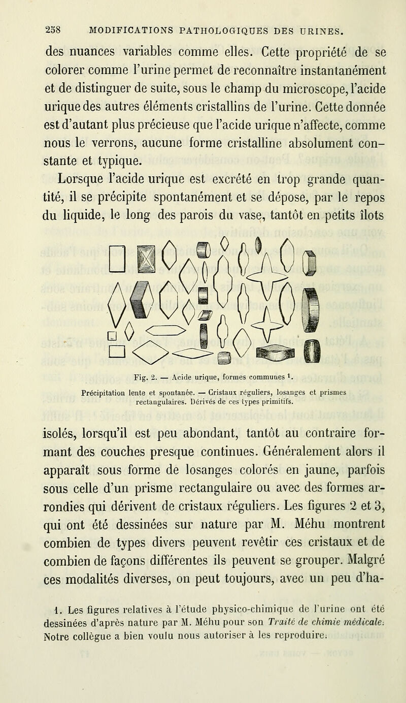 des nuances variables comme elles. Cette propriété de se colorer comme l'urine permet de reconnaître instantanément et de distinguer de suite, sous le champ du microscope, l'acide uriquedes autres éléments cristallins de l'urine. Cette donnée est d'autant plus précieuse que l'acide urique n'affecte, comme nous le verrons, aucune forme cristalline absolument con- stante et typique. Lorsque l'acide urique est excrété en trop grande quan- tité, il se précipite spontanément et se dépose, par le repos du liquide, le long des parois du vase, tantôt en petits îlots 0 aI Fig. 2. — Acide urique, formes commuues i. Précipitation lente et spontanée. — Cristaux réguliers, losanges et prismes rectangulaires. Dérivés de ces types primitifs. isolés, lorsqu'il est peu abondant, tantôt au contraire for- mant des couches presque continues. Généralement alors il apparaît sous forme de losanges colorés en jaune, parfois sous celle d'un prisme rectangulaire ou avec des formes ar- rondies qui dérivent de cristaux réguhers. Les figures 2 et 3, qui ont été dessinées sur nature par M. Méhu montrent combien de types divers peuvent revêtir ces cristaux et de combien de façons différentes ils peuvent se grouper. Malgré ces modalités diverses, on peut toujours, avec un peu d'ha- 1. Les figures relatives à l'étude physico-chimique de l'urine ont été dessinées d'après nature par M. Méhu pour son Traité de chimie médicale-. Notre collègue a bien voulu nous autoriser à les reproduire;