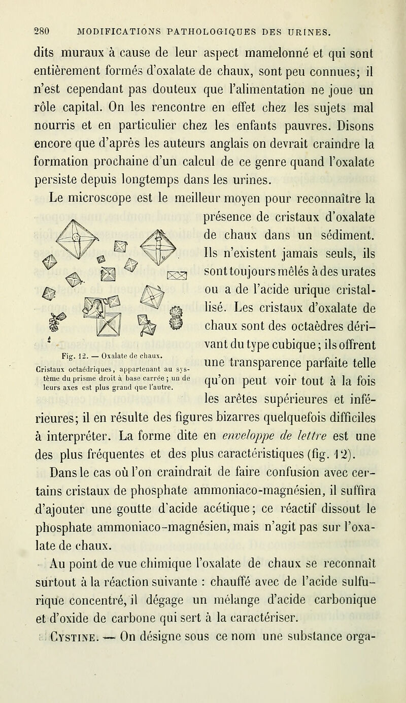 dits muraux à cause de leur aspect mamelonné et qui sont entièrement formés d'oxalate de chaux, sont peu connues; il n'est cependant pas douteux que l'alimentation ne joue un rôle capital. On les rencontre en effet chez les sujets mal nourris et en particuher chez les enfants pauvres. Disons encore que d'après les auteurs anglais on devrait craindre la formation prochaine d'un calcul de ce genre quand l'oxalate persiste depuis longtemps dans les urines. Le microscope est le meilleur moyen pour reconnaître la présence de cristaux d'oxalate de chaux dans un sédiment. Ils n'existent jamais seuls, ils sont toujours mêlés à des urates ou a de l'acide urique cristal- lisé. Les cristaux d'oxalate de chaux sont des octaèdres déri- vant du type cubique ; ils offrent une transparence parfaite telle qu'on peut voir tout à la fois les arêtes supérieures et infé- rieures; il en résulte des figures bizarres quelquefois difficiles à interpréter. La forme dite en enveloppe de lettre est une des plus fréquentes et des plus caractéristiques (fig. 12). Dans le cas où l'on craindrait de faire confusion avec cei- tains cristaux de phosphate ammoniaco-magnésien, il suffira d'ajouter une goutte d'acide acétique; ce réactif dissout le phosphate ammoniaco-magnésien, mais n'agit pas sur l'oxa- late de chaux. Au point de vue chimique l'oxalate de chaux se reconnaît surtout à la réaction suivante : chauffé avec de l'acide sulfu- rique concentré, il dégage un mélange d'acide carbonique et d'oxide de carbone qui sert à la caractériser. Cystine. — On désigne sous ce nom une substance orga- Fig. 12. — Oxalate de chaux. Cristaux octaédriques, appartenant au sys- tème du prisme droit à base carrée ; un de leurs axes est plus grand que l'autre.