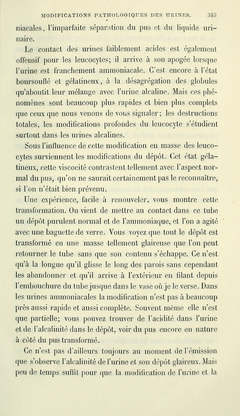 niacales, l'imparfaite séparation du pus et du liquide uri- naire. Le contact des urines faiblement acides est également offensif pour les leucocytes; il arrive à son apogée lorsque l'urine est franchement ammoniacale. C'est encore à l'état boursouflé et gélatineux, à la désagrégation des globules qu'aboutit leur mélange avec l'urine alcaline. Mais ces phé- nomènes sont beaucoup plus rapides et bien plus complets que ceux que nous venons de vous signaler; les destructions totales, les modifications profondes du leucocyte s'étudient surtout dans les urines alcahnes. Sous l'influence de cette modification en masse des leuco- cytes surviennent les modifications du dépôt. Cet état géla- tineux, cette viscocité contrastent tellement avec l'aspect nor- mal du pus, qu'on ne saurait certainement pas le reconnaître, si Ton n'était bien prévenu. Une expérience, facile à renouveler, vous montre cette transformation. On vient de mettre au contact dans ce tube un dépôt purulent normal et de l'ammoniaque, et l'on a agité avec une baguette de verre. Vous voyez que tout le dépôt est transformé en une masse tellement glaireuse que l'on peut retourner le tube sans que son contenu s'échappe. Ce n'est qu'à la longue qu'il glisse le long des parois sans cependant les abandonner et qu'il arrive à l'extérieur en filant depuis l'embouchure du tube jusque dans le vase où je le verse. Dans les urines ammoniacales la modification n'est pas à beaucoup près aussi rapide et aussi complète. Souvent même elle n'est que partielle; vous pouvez trouver de l'acidité dans l'urine et de l'alcalinité dans le dépôt, voir du pus encore en nature à côté du pus transformé. Ce n'est pas d'ailleurs toujours au moment de l'émission que s'observe l'alcalinité de l'urine et son dépôt glaireux. Mais peu de temps suffit pour que la modification de l'urine et la