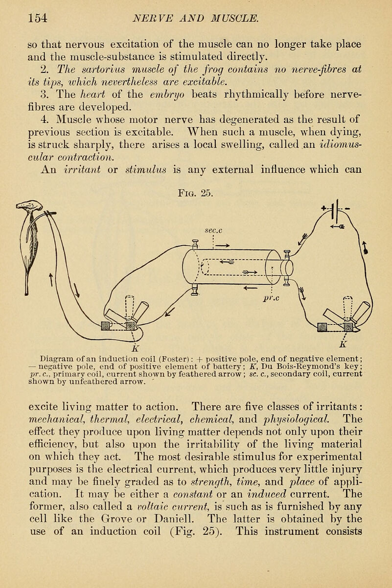 so that nervous excitation of the muscle can no longer take place and the muscle-substance is stimulated directly. 2. The sartorias muscle of the frog contains no nerve-fibres at its tips, which nevertheless are excitable. 3. The heart of the embryo beats rhythmically before nerve- fibres are developed. 4. Muscle whose motor nerve has degenerated as the result of previous section is excitable. When such a muscle, when dying, is struck sharply, there arises a local swelling, called an idiomus- cular contraction. An irritant or stimulus is any external influence which can Fig. 25. Diagram of an induction coil (Foster): + positive pole, end of negative element; — negative pole, end of positive element of battery; K, Du Bois-Reymond's key; pr. c, primary coil, current shown by feathered arrow; sc. c, secondary coil, current shown by unfeathered arrow. ' excite living matter to action. There are five classes of irritants : mechanical, thermal, electrical, chemical, and physiological. The effect they produce upon living matter depends not only upon their efficiency, but also upon the irritability of the living material on which they act. The most desirable stimulus for experimental purposes is the electrical current, which produces very little injury and may be finely graded as to strength, time, and place of appli- cation. It may be either a constant or an induced current. The former, also called a voltaic current, is such as is furnished by any cell like the Grove or Daniell. The latter is obtained by the use of an induction coil (Fig. 25). This instrument consists
