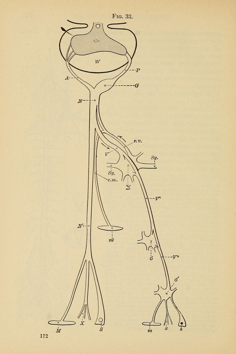 Fig. 33.