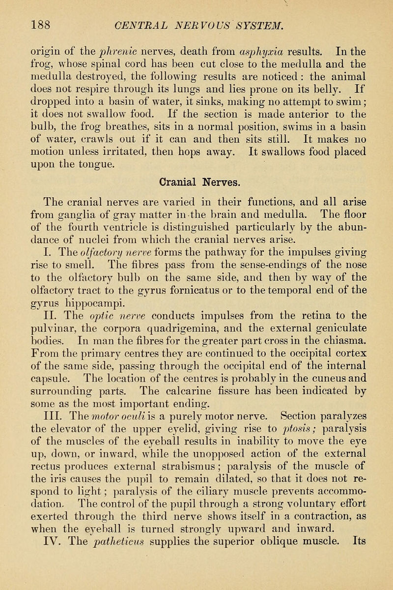 origin of the phrenic nerves, death from asjohyxia results. In the frog, whose spinal cord has been cut close to the medulla and the medulla destroyed, the following results are noticed : the animal does not respire through its lungs and lies prone on its belly. If dropped into a basin of water, it sinks, making no attempt to swim; it does not swallow food. If the section is made anterior to the bulb, the frog breathes, sits in a normal position, swims in a basin of water, crawls out if it can and then sits still. It makes no motion unless irritated, then hops away. It swallows food placed upon the tongue. Cranial Nerves. The cranial nerves are varied in their functions, and all arise from ganglia of gray matter in the brain and medulla. The floor of the fourth ventricle is distinguished particularly by the abun- dance of nuclei from which the cranial nerves arise. I. The olfactory nerve forms the pathway for the impulses giving rise to smell. The fibres pass from the sense-endings of the nose to the olfactory bulb on the same side, and then by way of the olfactory tract to the gyrus fornicatus or to the temporal end of the gyrus hippocampi. II. The optic nerve conducts impulses from the retina to the pulvinar, the corpora quadrigemina, and the external geniculate bodies. In man the fibres for the greater part cross in the chiasma. From the primary centres they are continued to the occipital cortex of the same side, passing through the occipital end of the internal capsule. The location of the centres is probably in the cuneus and surrounding parts. The calcarine fissure has been indicated by some as the most important ending. III. The motor oculi is a purely motor nerve. Section paralyzes the elevator of the upper eyelid, giving rise to ptosis; paralysis of the muscles of the eyeball results in inability to move the eye up, down, or inward, while the unopposed action of the external rectus produces external strabismus; paralysis of the muscle of the iris causes the pupil to remain dilated, so that it does not re- spond to light; paralysis of the ciliary muscle prevents accommo- dation. The control of the pupil through a strong voluntary effort exerted through the third nerve shows itself in a contraction, as when the eyeball is turned strongly upward and inward. IV. The patheticus supplies the superior oblique muscle. Its