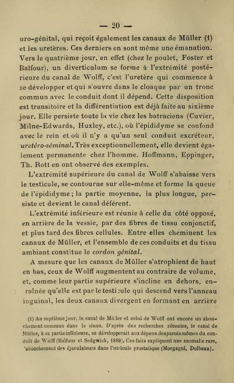 uro-génital, qui reçoit également les canaux de Mûller (1) et les uretères. Ces derniers en sont même une émanation. Vers le quatrième jour, en effet (chez le poulet, Foster et Balfour), un diverticulum se forme à l'extrémité posté- rieure du canal de Wolff, c'est l'uretère qui commence à se développer et qui s'ouvre dans le cloaque par un tronc commun avec le conduit dont il dépend. Cette disposition est transitoire et la différentiation est déjà faite au sixième jour. Elle persiste toute la vie chez les batraciens (Cuvier, Milne-Edwards, Huxley, etc.), où l'épididyme se confond avec le rein et où il n'y a qu'un seul conduit excréteur, wretéro-sérMmaZ. Très exceptionnellement, elle devient éga- lement permanente chez l'homme. Hoffmann, Eppinger, Th. Rott en ont observé des exemples. L'extrémité supérieure du canal de Wolff s'abaisse vers le testicule, se contourne sur elle-même et forme la queue de l'épididyme ; la partie moyenne, la plus longue, per- siste et devient le canal déférent. L'extrémité inférieure est réunie à celle du coté opposé, en arrière de la vessie, par des fibres de tissu conjonctif, et plus tard des fibres cellules. Entre elles cheminent les canaux de Mûller, et l'ensemble de ces conduits et du tissu am.biant constitue le cordon génital. A mesure que les canaux de Mûller s'atrophient de haut en bas. ceux de Wolff augmentent au contraire de volume, et, comme leur partie supérieure s'incline en dehors, en- raînée qu'elle estpar le testi:ule qui descend vers l'anneau inguinal, les deux canaux divergent en formant en arrière (1) Au septième jour, le canal de Mûller et celui de Wolff ont encore un abou- chement commun dans le sinus. D'après des reclierches récentes, le canal de Millier, à sa partie inférieure, se développerait aux dépens dcsparoismêmes du con- duit de Woliï (Balfour et Sedgwick, 1880). Ces faits expliquent une anomalie rare, 'abouchement des éjaculateurs dans l'utiicule prostatique (Morgagni, Dolbeau).