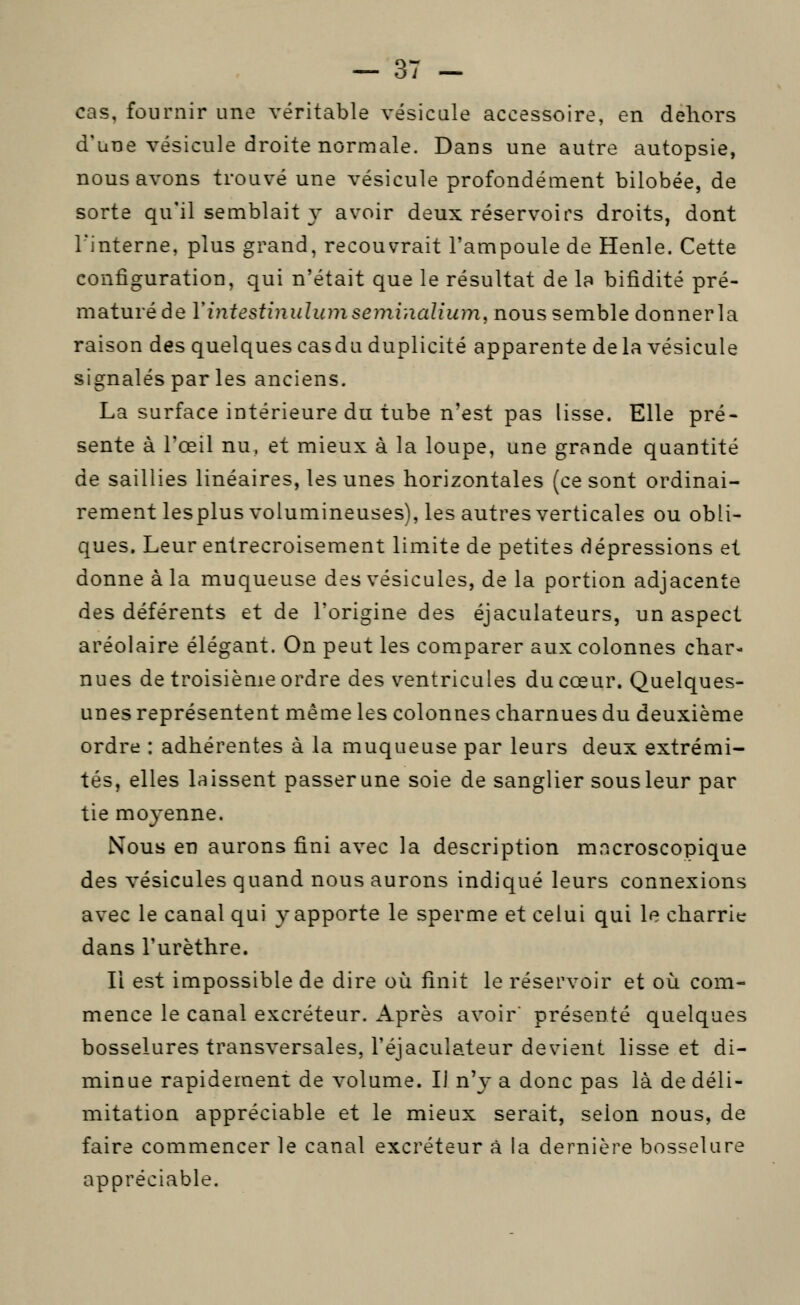 cas, fournir une véritable vésicule accessoire, en dehors d'une vésicule droite normale. Dans une autre autopsie, nous avons trouvé une vésicule profondément bilobée, de sorte qu'il semblait y avoir deux réservoirs droits, dont l'interne, plus grand, recouvrait l'ampoule de Henle. Cette configuration, qui n'était que le résultat de la bifidité pré- maturé de Vintestinulimiseminalium, nous semble donnerla raison des quelques casdu duplicité apparente de la vésicule signalés par les anciens. La surface intérieure du tube n'est pas lisse. Elle pré- sente à l'œil nu, et mieux à la loupe, une grande quantité de saillies linéaires, les unes horizontales (ce sont ordinai- rement lesplus volumineuses), les autres verticales ou obli- ques. Leur entrecroisement limite de petites dépressions et donne à la muqueuse des vésicules, de la portion adjacente des déférents et de l'origine des éjaculateurs, un aspect aréolaire élégant. On peut les comparer aux colonnes char- nues de troisième ordre des ventricules du cœur. Quelques- unes représentent même les colonnes charnues du deuxième ordre : adhérentes à la muqueuse par leurs deux extrémi- tés, elles laissent passer une soie de sanglier sous leur par tie moyenne. Nous en aurons fini avec la description macroscopique des vésicules quand nous aurons indiqué leurs connexions avec le canal qui y apporte le sperme et celui qui le charrie dans l'urèthre. Il est impossible de dire où finit le réservoir et où com- mence le canal excréteur. Après avoir présenté quelques bosselures transversales, l'éjaculateur devient lisse et di- minue rapidement de volume. IJ n'y a donc pas là de déli- mitation appréciable et le mieux serait, selon nous, de faire commencer le canal excréteur à la dernière bosselure appréciable.