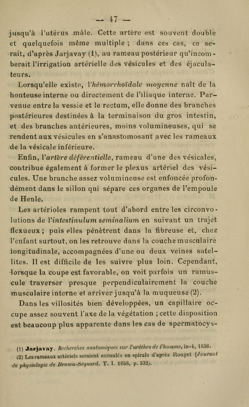 jusqu'à l'utérus mâle. Cette artère est souvent double et quelquefois même multiple ; dans ces cas, ce se- rait, d'après Jarjavay (1), au rameau postérieur qu'incom- berait l'irrigation artérielle des vésicules et des éjacula- teurs. Lorsqu'elle existe, Vhéinorrhoidale moyenne naît de la honteuse interne ou directement de l'iliaque interne. Par- venue entre la vessie et le rectum, elle donne des branches postérieures destinées à la terminaison du gros intestin, et des branches antérieures, moins volumineuses, qui se rendent aux vésicules en s'anastomosant javec les rameaux de la vésicale inférieure. Fjïiûn, Vartère déférentielle, TRmeau d'une des vésicales, contribue également à former le plexus artériel des vési- cules. Une branche assez volumineuse est enfoncée profon- dément dans le sillon qui sépare ces organes de l'empoule de Henle. Les artérioles rampent tout d'abord entre les circonvo* \\jiiions àe Vintestinulum seminalium en suivant un trajet flexueux ; puis elles pénètrent dans la fibreuse et, chez l'enfant surtout, on les retrouve dans la couche musculaire longitudinale, accompagnées d'une ou deux veines satel- lites. Il est difficile de les suivre plus loin. Cependant, -lorsque la coupe est favorable, on voit parfois un ramus- cule traverser presque perpendiculairement la couche musculaire interne e1 arriver jusqu'à la muqueuse (2). Dans les villosités bien développées, un capillaire oc- cupe assez souvent l'axe de la végétation ; cette disposition est beaucoup plus apparente dans les cas de spermatocys- (l) Jarjavay. Recherches anatomiqiies sur l'urèthrede l'homme, in-i, 1856. {2) Lesrameaux artériels seraient enroulés en spirale d'après Rouget [Journaè de physiologie de Brown-Héquard. T. I. 1858, p. 332;.