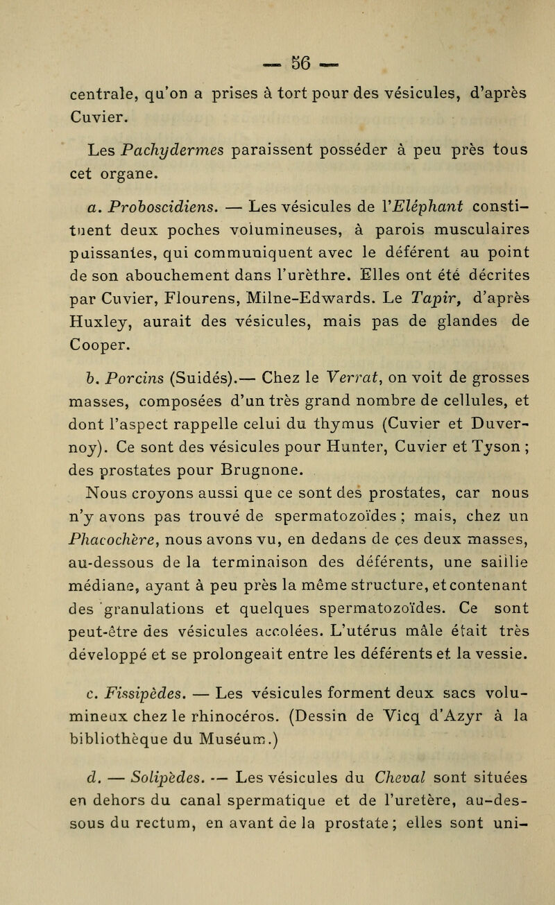 centrale, qu'on a prises à tort pour des vésicules, d'après Cuvier. Les Pachydermes paraissent posséder à peu près tous cet organe. a. Prohoscidiens. — Les vésicules de VEléphant consti- tuent deux poches volumineuses, à parois musculaires puissantes, qui communiquent avec le déférent au point de son abouchement dans l'urèthre. Elles ont été décrites par Cuvier, Flourens, Milne-Edwards. Le Tapir, d'après Huxley, aurait des vésicules, mais pas de glandes de Cooper. h. Porcins (Suidés).— Chez le Verrat, on voit de grosses masses, composées d'un très grand nombre de cellules, et dont l'aspect rappelle celui du thymus (Cuvier et Duver- noy). Ce sont des vésicules pour Hunter, Cuvier et Tyson ; des prostates pour Brugnone. Nous croyons aussi que ce sont des prostates, car nous n'y avons pas trouvé de spermatozoïdes ; mais, chez un Phacochère, nous avons vu, en dedans de ces deux masses, au-dessous de la terminaison des déférents, une saillie médiane, ayant à peu près la même structure, et contenant des granulations et quelques spermatozoïdes. Ce sont peut-être des vésicules accolées. L'utérus mâle était très développé et se prolongeait entre les déférents et la vessie. c. Fissipèdes. — Les vésicules forment deux sacs volu- mineux chez le rhinocéros. (Dessin de Vicq d'Azyr à la bibliothèque du Muséum.) d. — Solipèdes. — Les vésicules du Cheval sont situées en dehors du canal spermatique et de l'uretère, au-des- sous du rectum, en avant de la prostate; elles sont uni-