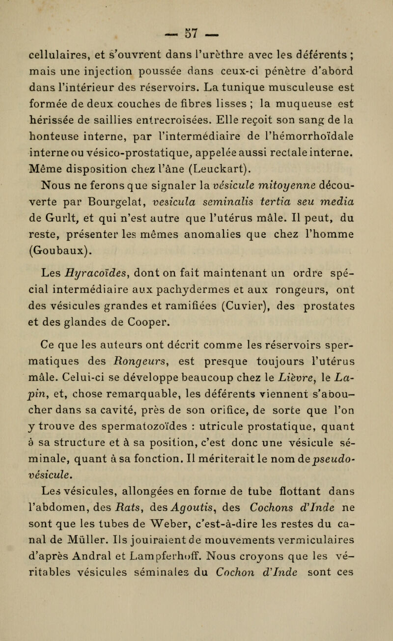 cellulaires, et s'ouvrent dans l'urèthre avec les déférents ; mais une injection poussée dans ceux-ci pénètre d'abord dans l'intérieur des réservoirs. La tunique musculeuse est formée de deux couches de fibres lisses ; la muqueuse est hérissée de saillies entrecroisées. Elle reçoit son sang de la honteuse interne, par l'intermédiaire de l'hémorrhoïdale interne ou vésico-prostatique, appelée aussi rectale interne. Même disposition chez l'âne (Leuckart). Nous ne ferons que signaler la vésicule mitoyenne décou- verte par Bourgelat, vesicula seminalis tertia seu média de Gurlt, et qui n'est autre que l'utérus mâle. Il peut, du reste, présenter les mêmes anomalies que chez l'homme (Goubaux). Les Hyracoïdes, dont on fait maintenant un ordre spé- cial intermédiaire aux pachydermes et aux rongeurs, ont des vésicules grandes et ramifiées (Cuvier), des prostates et des glandes de Cooper. Ce que les auteurs ont décrit comme les réservoirs sper- matiques des Rongeurs^ est presque toujours l'utérus mâle. Celui-ci se développe beaucoup chez le Lièvre^ le La- pin, et, chose remarquable, les déférents viennent s'abou- cher dans sa cavité, près de son orifice, de sorte que l'on y trouve des spermatozoïdes : utricule prostatique, quant a sa structure et à sa position, c'est donc une vésicule sé- minale, quant à sa fonction. Il mériterait le nom de pseudo- vésicule. Les vésicules, allongées en forme de tube flottant dans l'abdomen, des iîats, des Agoutis^ des Cochons d'Inde ne sont que les tubes de Weber, c'est-à-dire les restes du ca- nal de Mûller. Ils jouiraient de mouvements vermiculaires d'après Andral et Lampferhoff. Nous croyons que les vé- ritables vésicules séminales du Cochon d'Inde sont ces