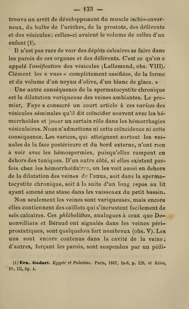trouva un arrêt de développement du muscle ischio-caver- neux, du bulbe de l'urèthre, de la prostate, des déférents et des vésicules; celles-ci avaient le volume de celles d'un enfant (1). Il n'est pas rare de voir des dépôts calcaires se faire dans les parois de ces organes et des déférents. C'est ce qu'on a appelé Vossification des vésicules (Lallemand, obs. VIII). Clément les a vues « complètement ossifiées, de la forme et du volume d'un noyau d'olive, d'un blanc de glace. » Une autre conséquence de la spermatocystite chronique est la dilatation variqueuse des veines ambiantes. Le pre- mier, Faye a consacré un court article à ces varices des vésicules séminales qu'il dit coïncider souvent avec les hé- morrhoïdes et jouer un certain rôle dans les hémorrhagies vésiculaires. Nous n'admettons ni cette coïncidence ni cette conséquence. Les varices, qui atteignent surtout les vei- nules de la face postérieure et du bord externe, n'ont rien à voir avec les hémospermies, puisqu'elles rampent en dehors des tuniques. D'un autre côté, si elles existent par- fois chez les hémorrhoïdaires, on les voit aussi en dehors de la dilatation des veines de l'anus, soit dans la sperma- tocystite chronique, soit à la suite d'un long repos au lit ayant amené une stase dans les vaisseaux du petit bassin. Non seulement les veines sont variqueuses, mais encore elles contiennent des caillots qui s'incrustent facilement de sels calcaires. Ces phlébolithes, analogues à ceux que De— uonvilliers et Béraud ont signalés dans les veines péri- prostatiques, sont quelquefois fort nombreux (obs. V). Les uns sont encore contenus dans la cavité de la veine ; d'autres, forçant les parois, sont suspendus par un pédi- (1) Ern. Godart. Egypte'ei Palestine. Paris, 1867. In-S, p. 129, et Atlas, PI. III, fig. 4.