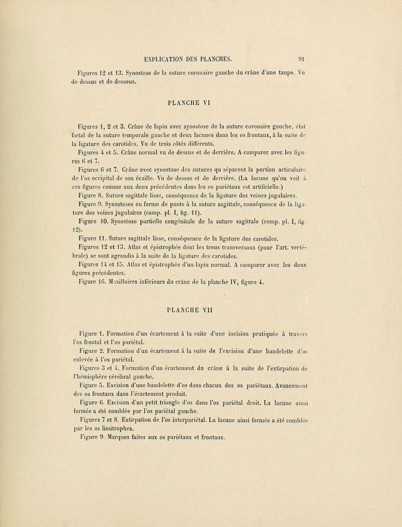 Figures 12 et 13. Synostose de la suture coronaire gauche du crâne d'une taupe. Vu de dessus et de dessous. PLANCHE VI Figures 1, 2 et 3. Crâne de lapin avec synostose de la suture coronaire gauche, état fœtal de la suture temporale gauche et deux lacunes dans les os frontaux, à la suite de la ligature des carotides. Vu de trois côtés différents. Figures i et 5. Crâne normal vu de dessus et de derrière. A comparer avec les ligu- res 6 et 7. Figures 6 et 7. Crâne avec synostose des sutures qu séparent la portion articulaire de l'os occipital de son écaille. Vu de dessus et de derrière. (La lacune qu'on voit à ces figures comme aux deux précédentes dans les os pariétaux est artificielle.) Figure 8. Suture sagittale lisse, conséquence de la ligature des veines jugulaires. Figure 9. Synostoses en forme de ponts à la suture sagittale, conséquence de la liga- ture des veines jugulaires (comp. pi. I, fig. 11). Figure 10. Synostose partielle congénitale de la suture sagittale (comp. pi. I, fig. 12). Figure 11. Suture sagittale lisse, conséquence de la ligature des carotides. Figures 12 et 13. Atlas et épistrophée dont les trous transversaux (pour l'art, verté- brale) se sont agrandis à la suite de la ligature des carotides. Figures 14 et 15. Atlas et épistrophée d'un lapin normal. A comparer avec les deux figures précédentes. Figure. 16. Maxillaires inférieurs du crâne de la planche IV, figure i. PLANCHE VII Figure 1. Formation d'un écartement à la suite d'une incision pratiquée à travers l'os frontal et l'os pariétal. Figure 2. Formation d'un écartement à la suite de l'excision d'une bandelette d'os enlevée à l'os pariétal. Figures 3 et i. Formation d'un écartement du crâne à la suite de l'extirpation de l'hémisphère cérébral gauche. Figure 5. Excision d'une bandelette d'os dans chacun des os pariétaux. Avancement des os frontaux dans l'écartement produit. Figure 6. Excision d'un petit triangle d'os dans l'os pariétal droit. La lacune ainsi formée a été comblée par l'os pariétal gauche. Figures 7 et 8. Extirpation de l'os interpariétal. La lacune ainsi formée a été comblée par les os limitrophes. Figure 9. Marques faites aux os pariétaux et frontaux.